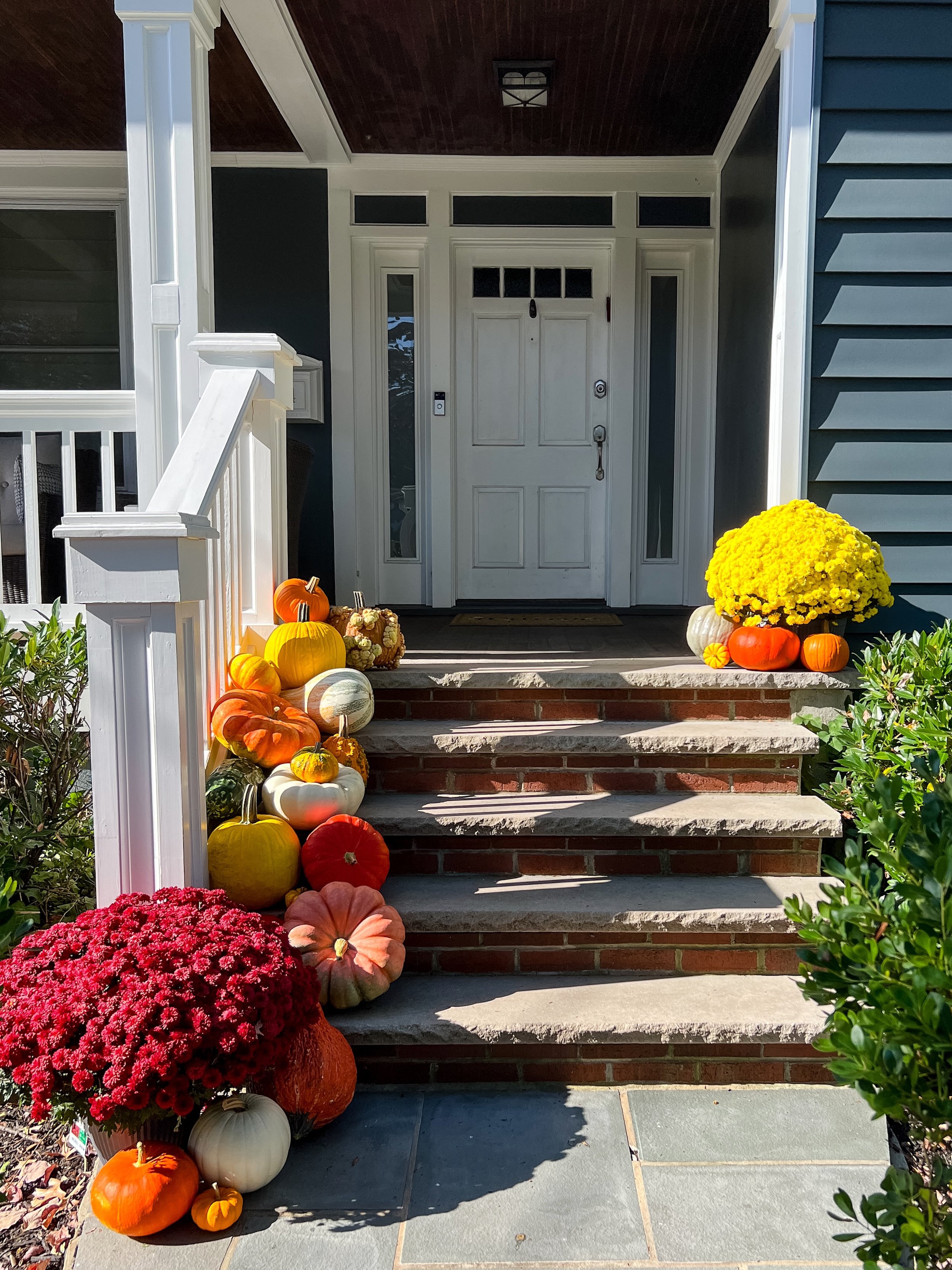 Front porch decorated with pumpkins and a large yellow potted chrysanthemum, with a white front door and stairs, plants, and bushes on either side.