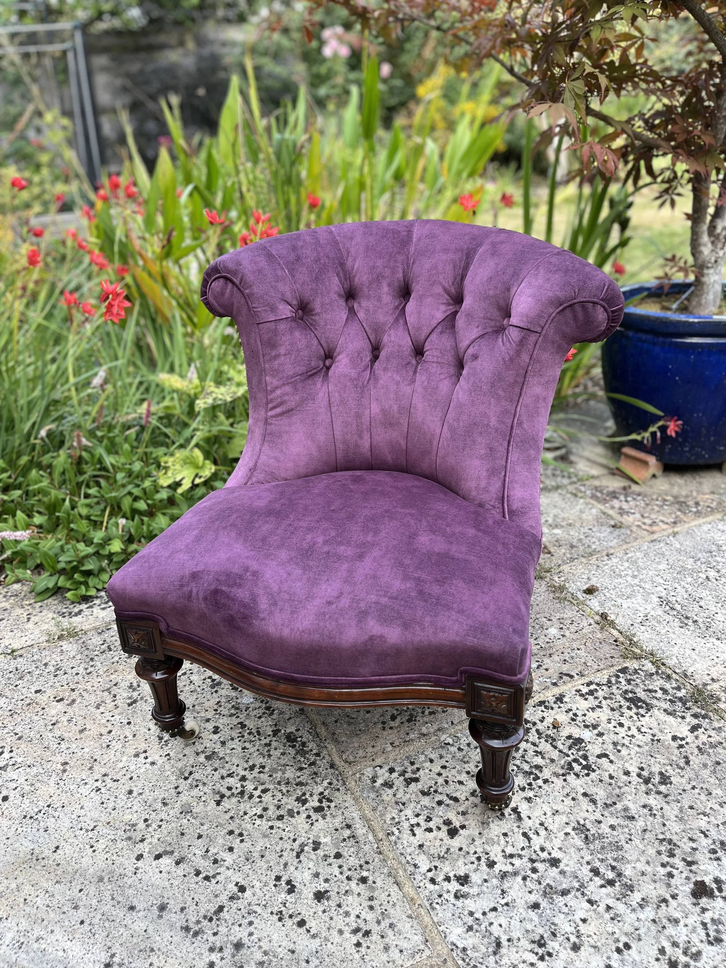 A vintage purple velvet chair with wooden legs is placed outdoors on a concrete patio, surrounded by green plants and flowers in a garden.