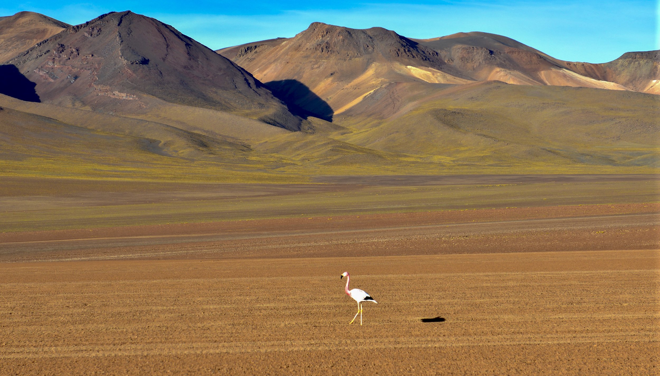 JHS_Bolivia-27.jpg