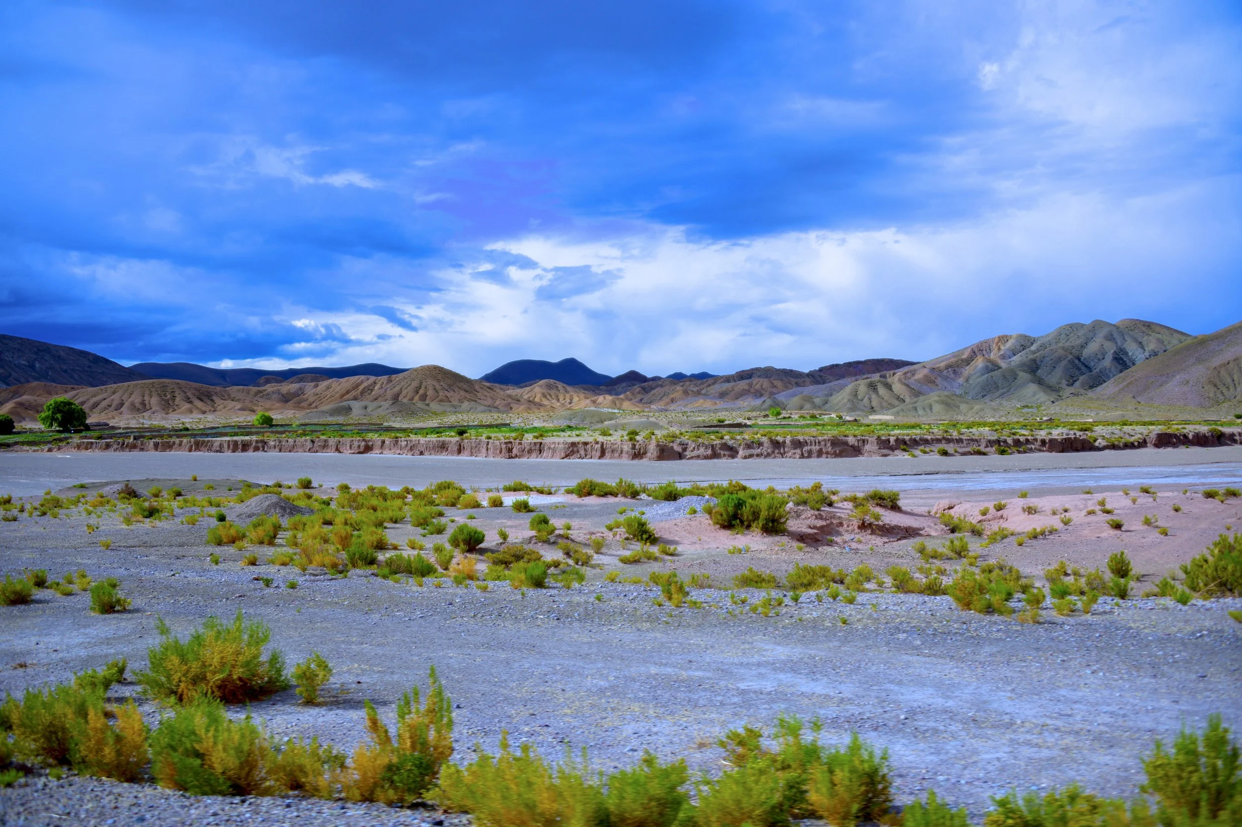DSC_2429.jpg