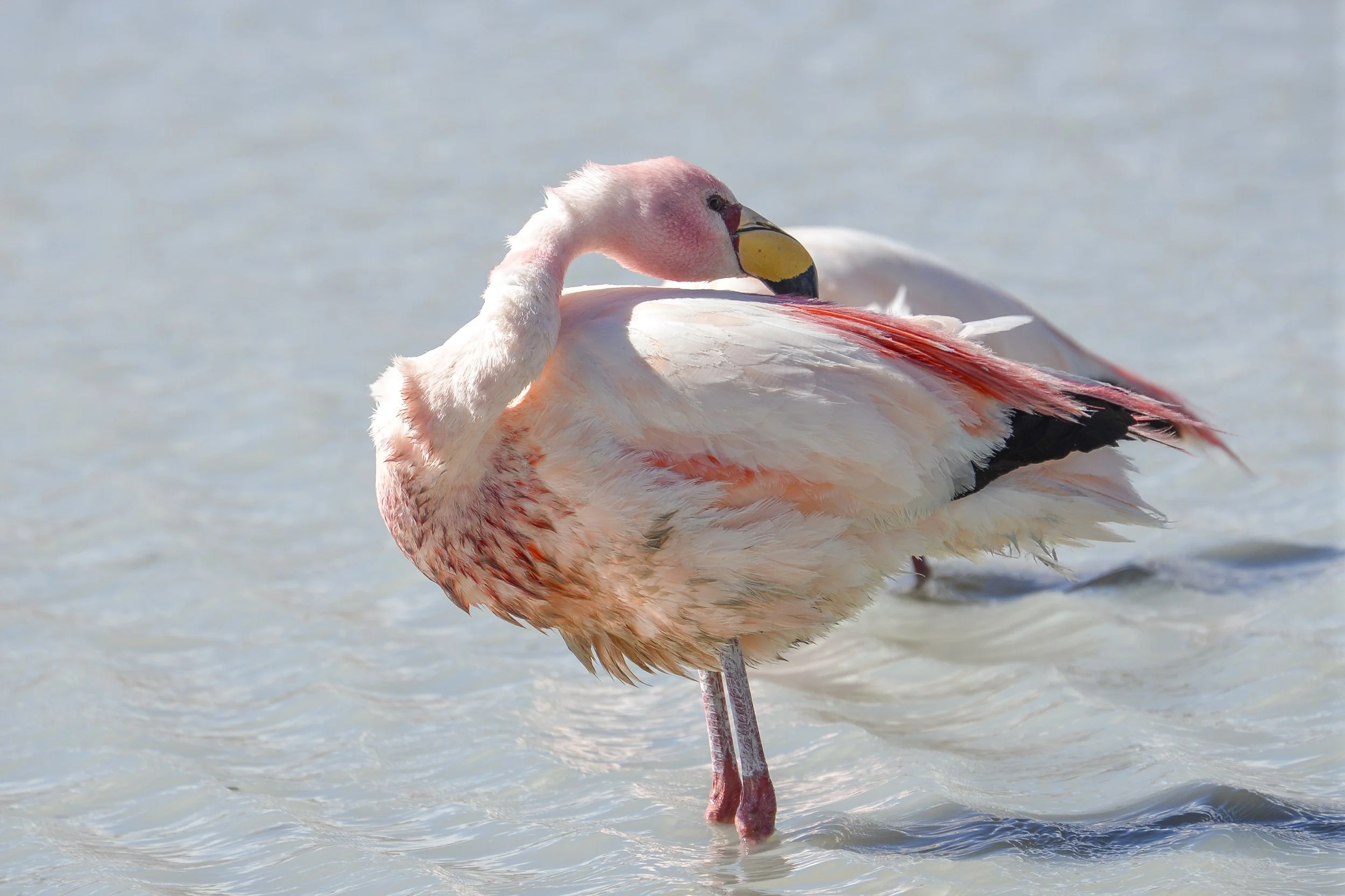 DSC_2769.jpg