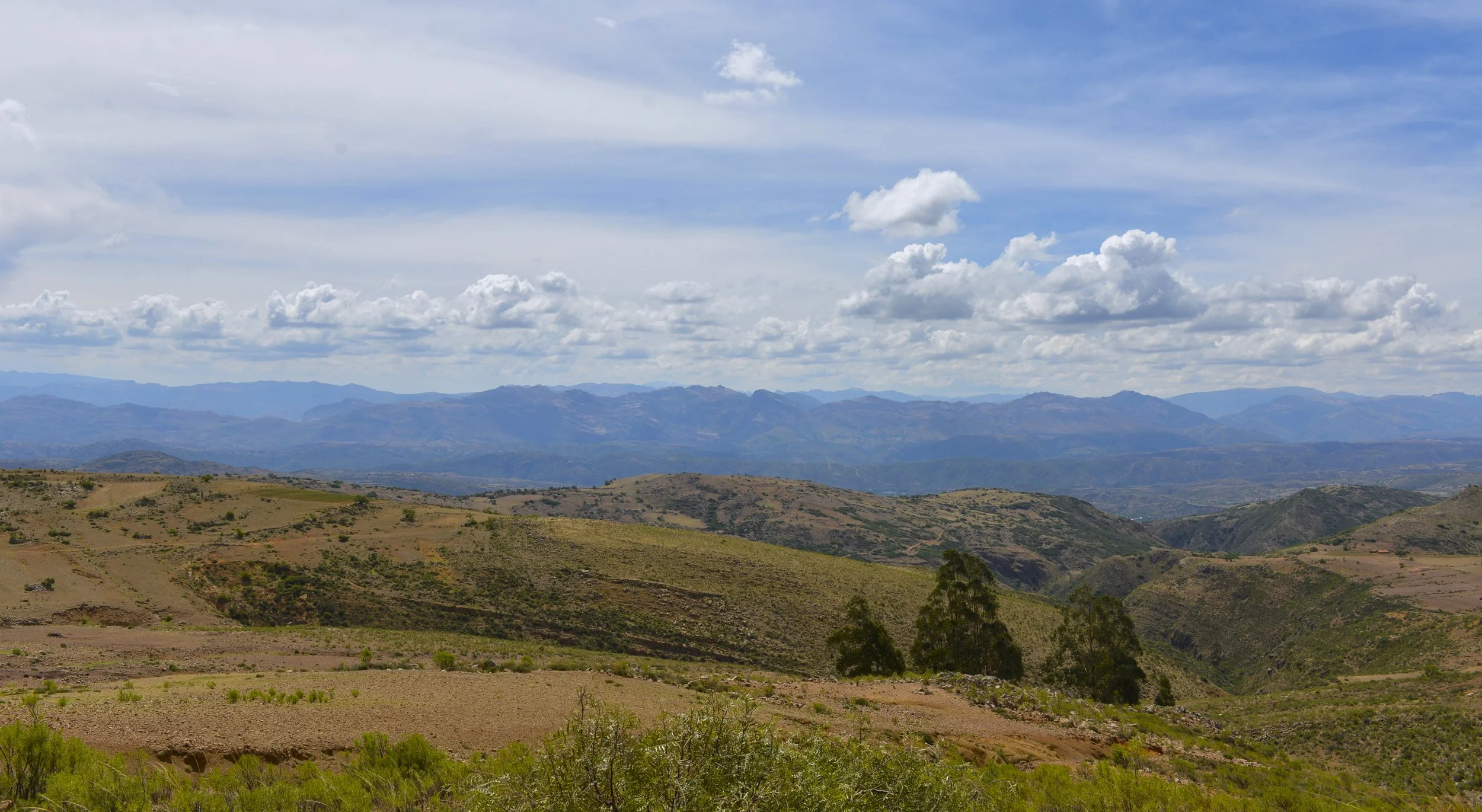 DSC_2253.jpg