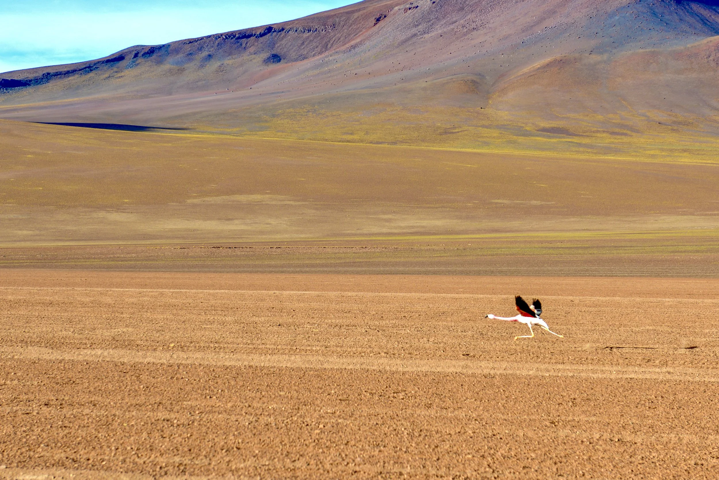 JHS_Bolivia-26.jpg
