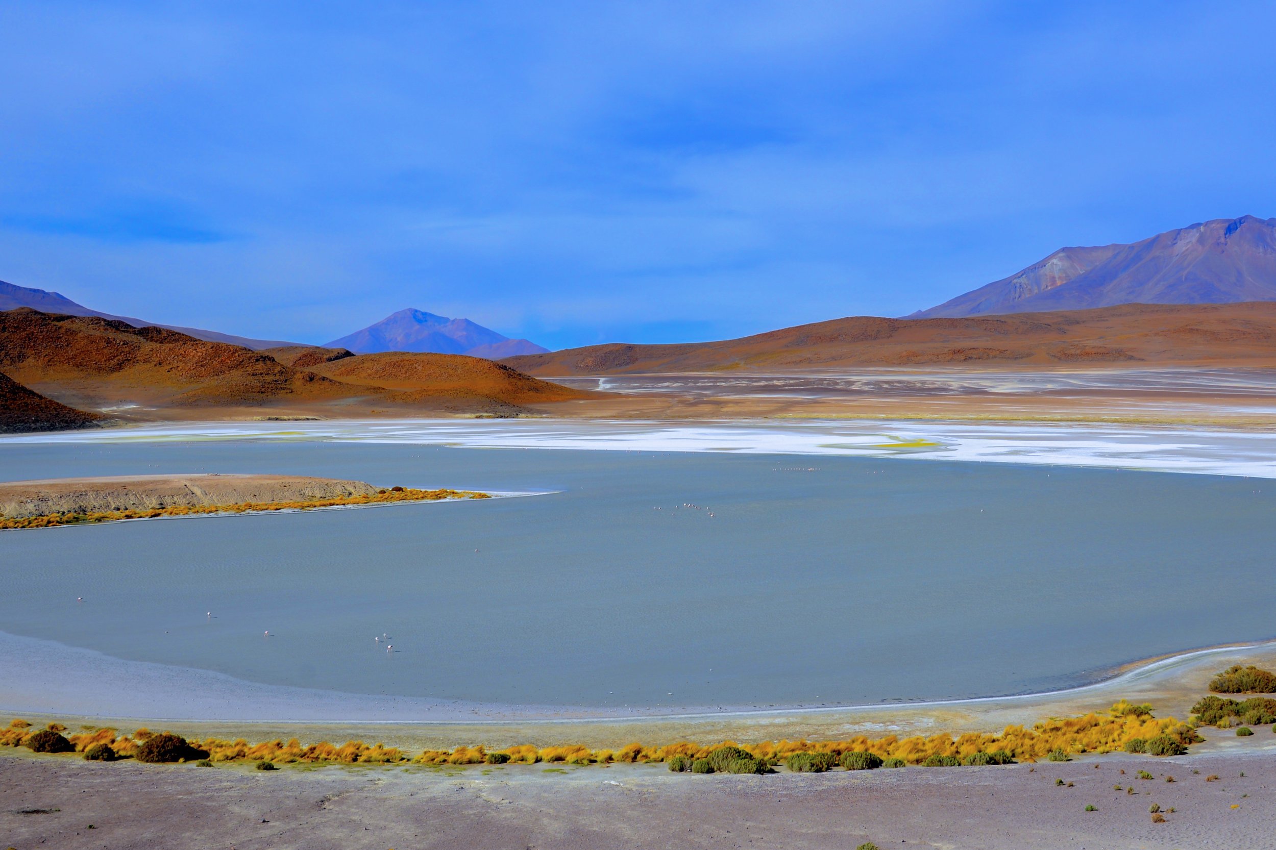 DSC_2789.jpg