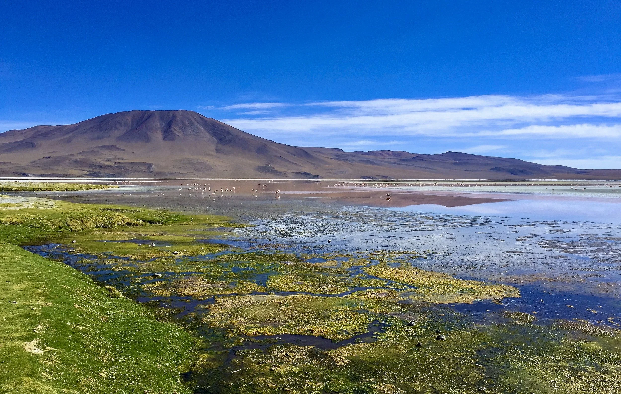JHS_Bolivia-22.jpg