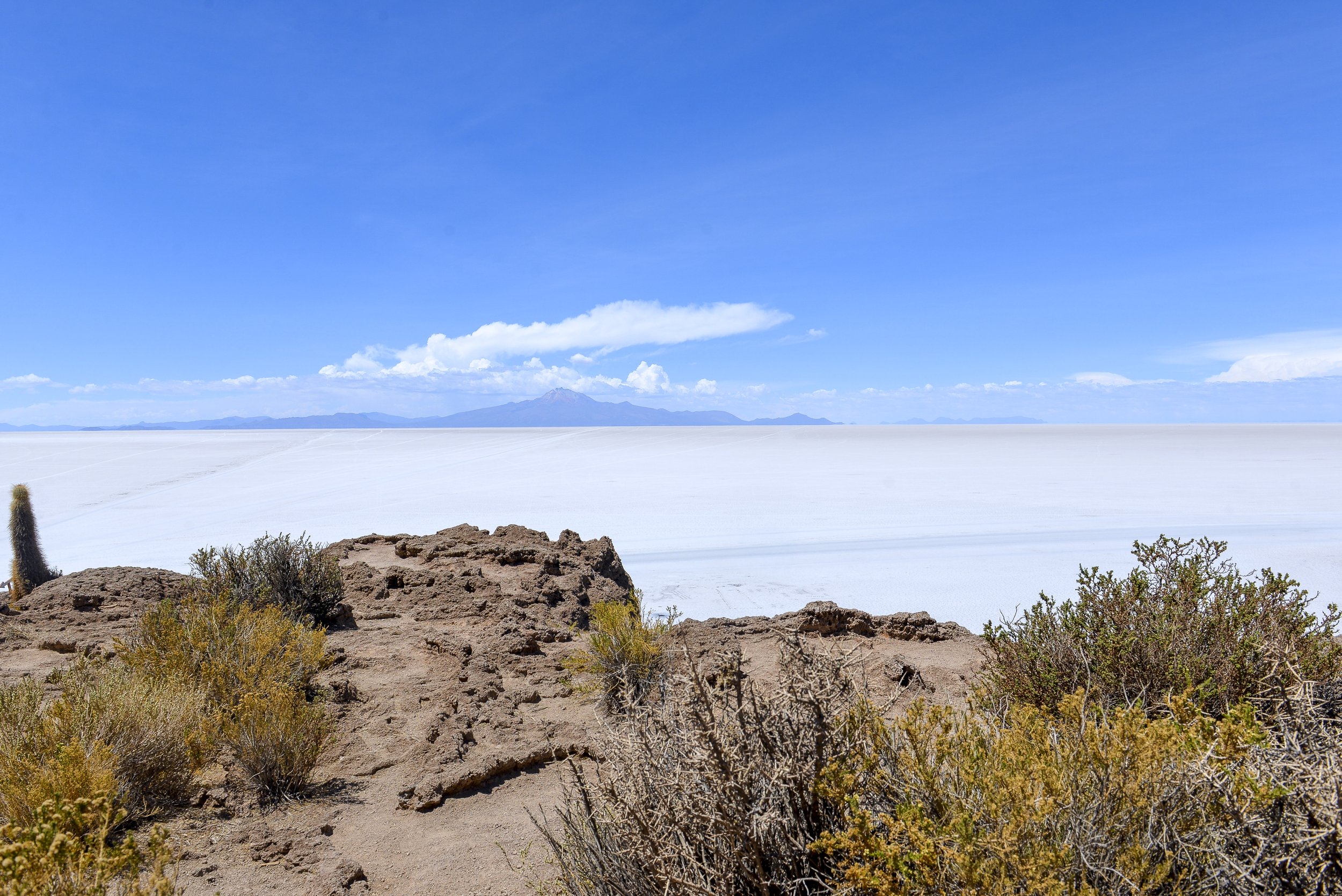 DSC_2497.jpg