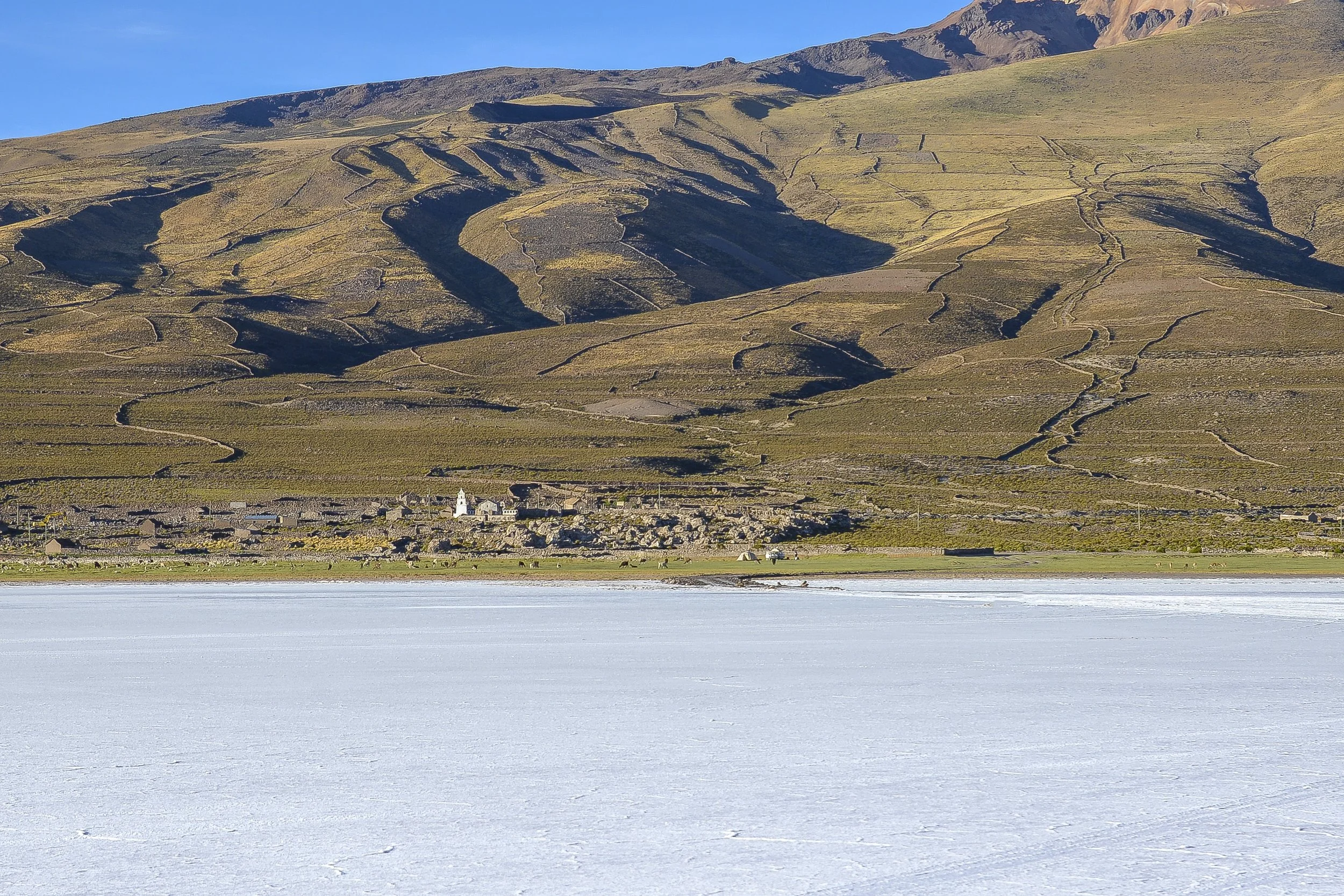 DSC_2588.jpg