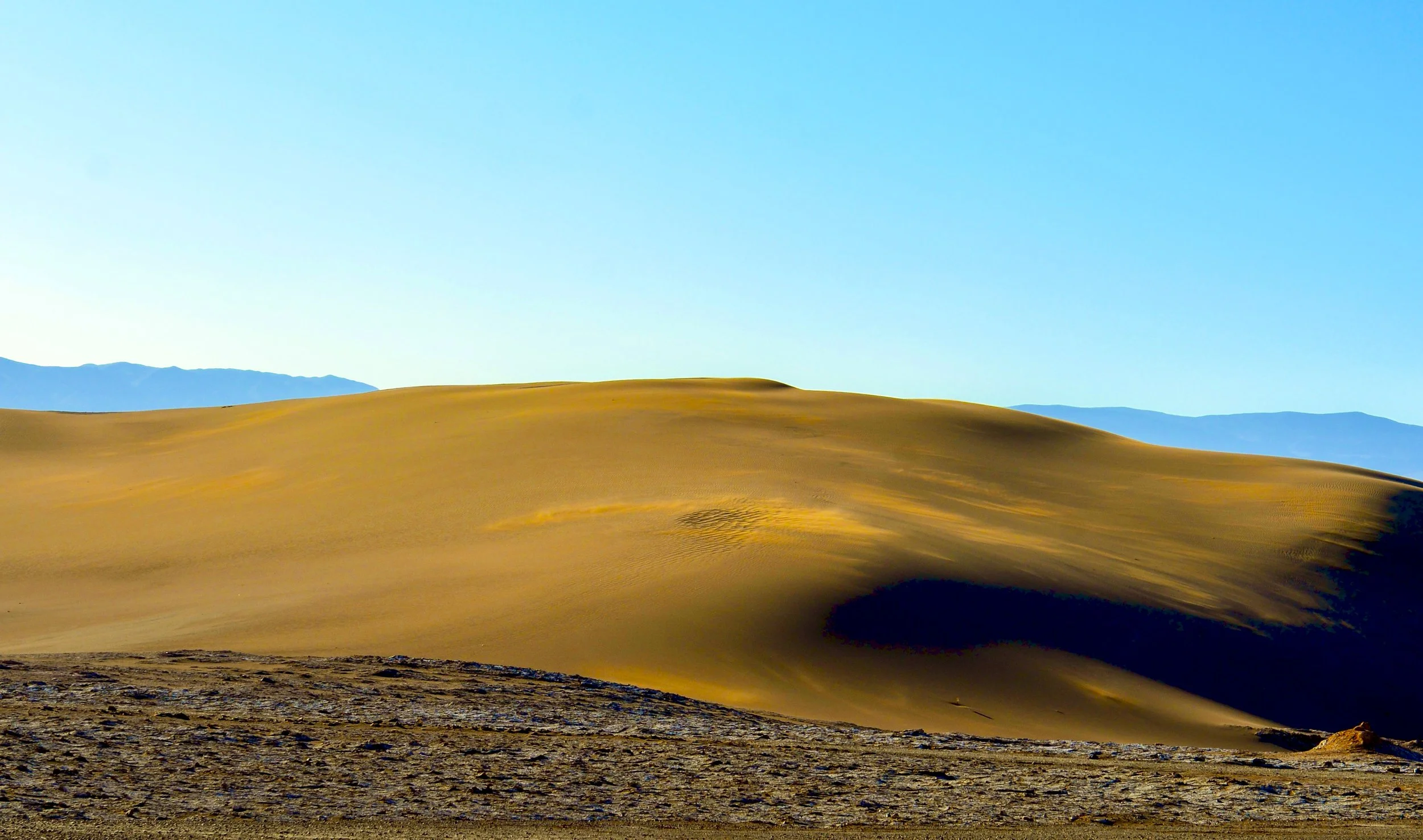 DSC_3182.jpg