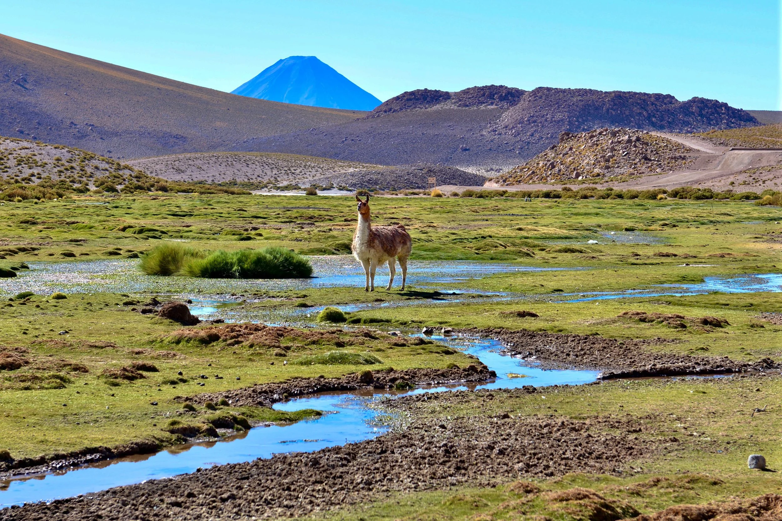 JHS_Bolivia-109.jpg