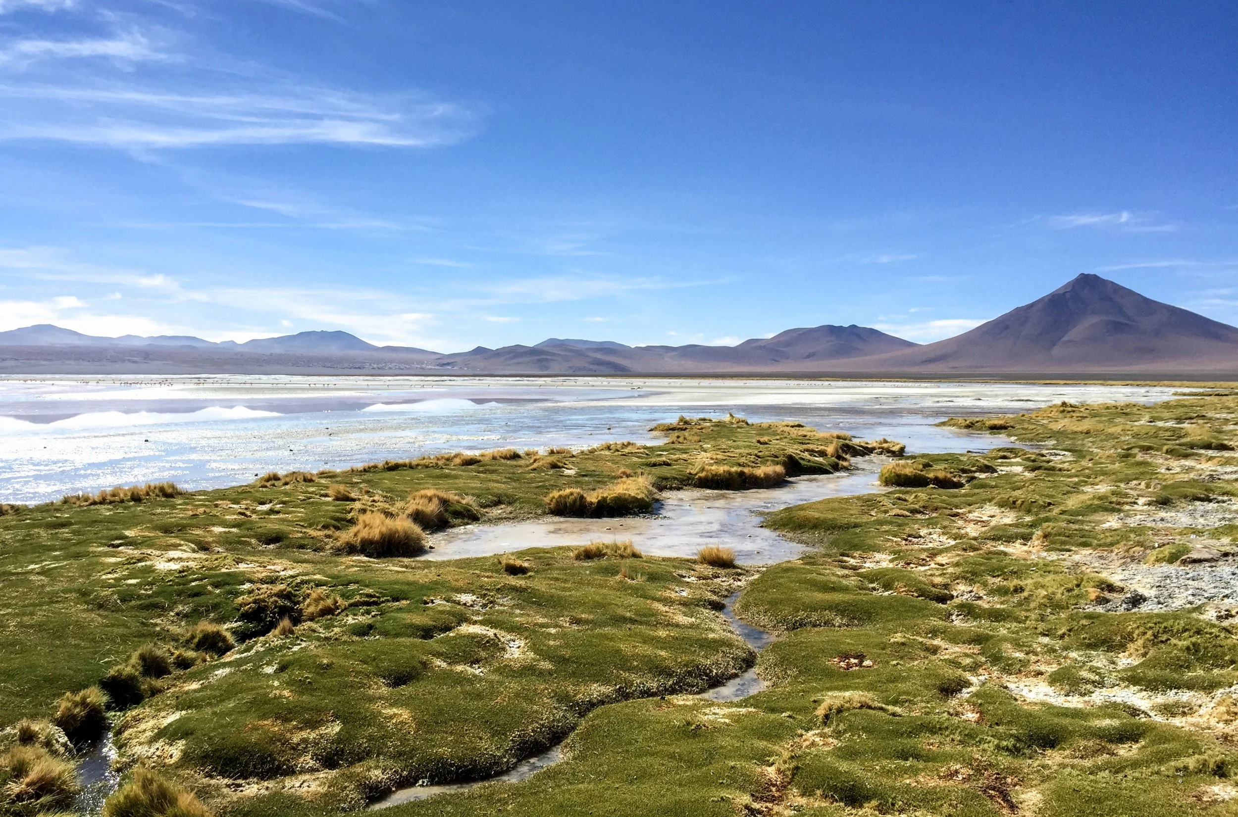 JHS_Bolivia-106.jpg