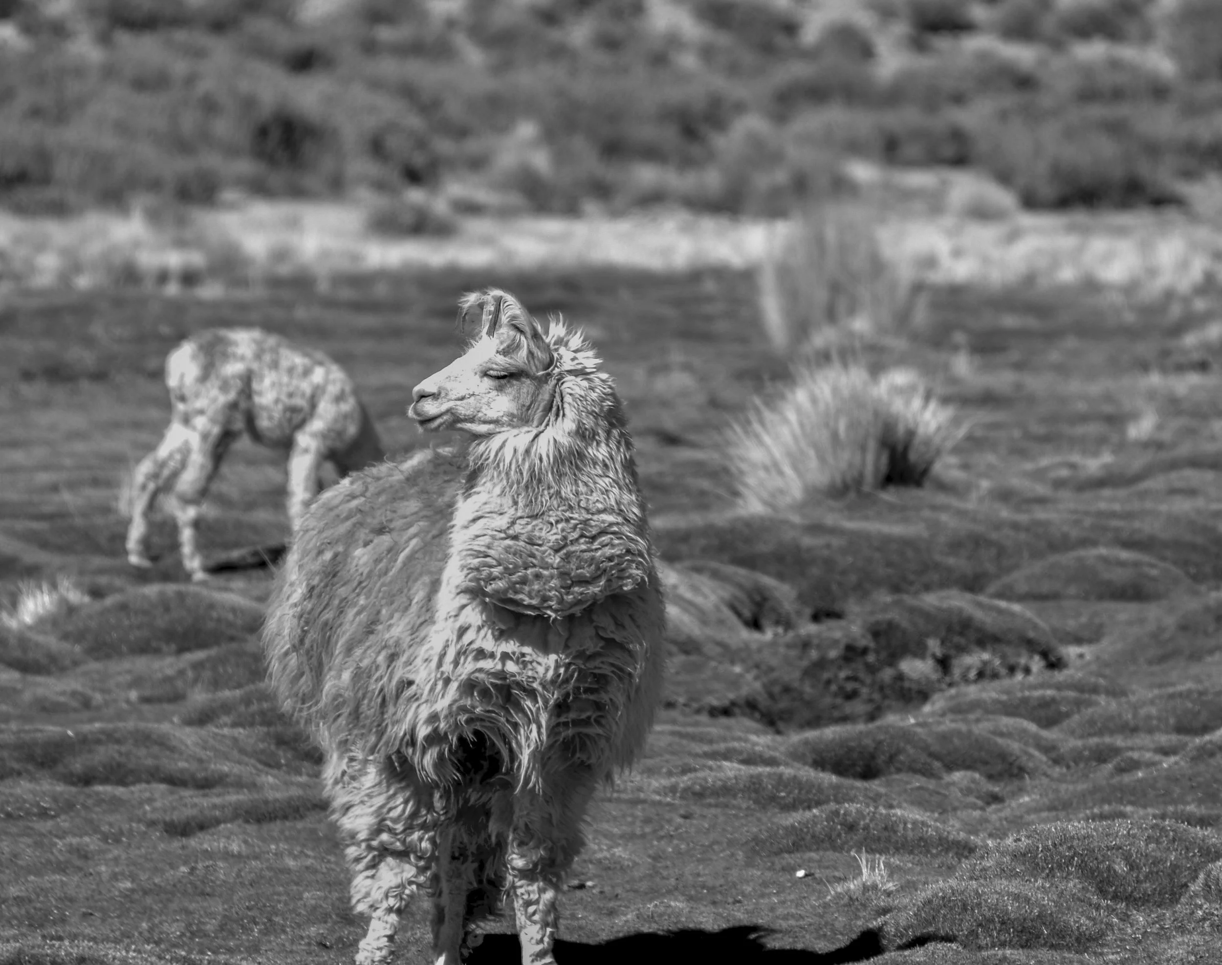 DSC_3292.jpg