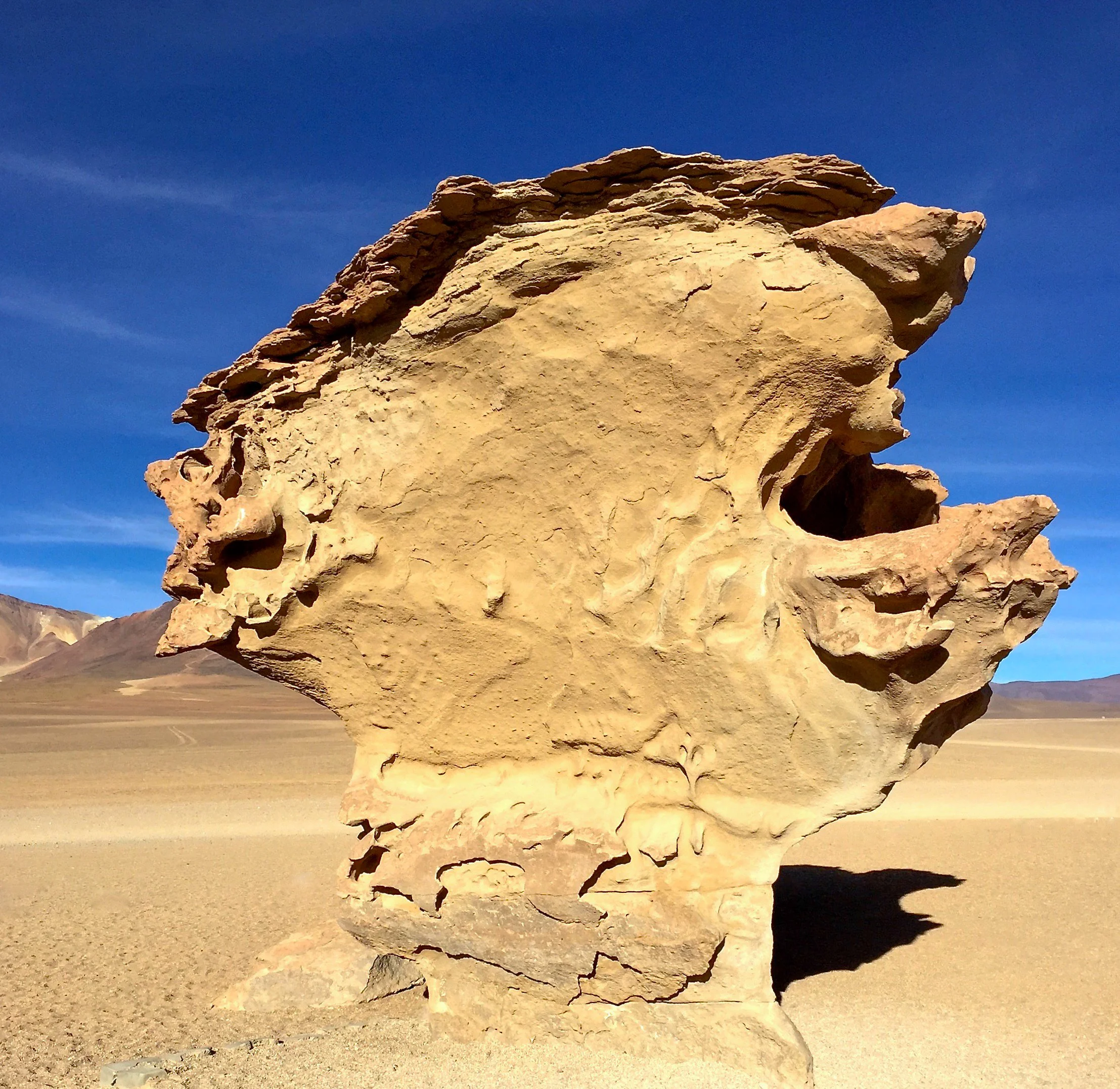 JHS_Bolivia-104.jpg