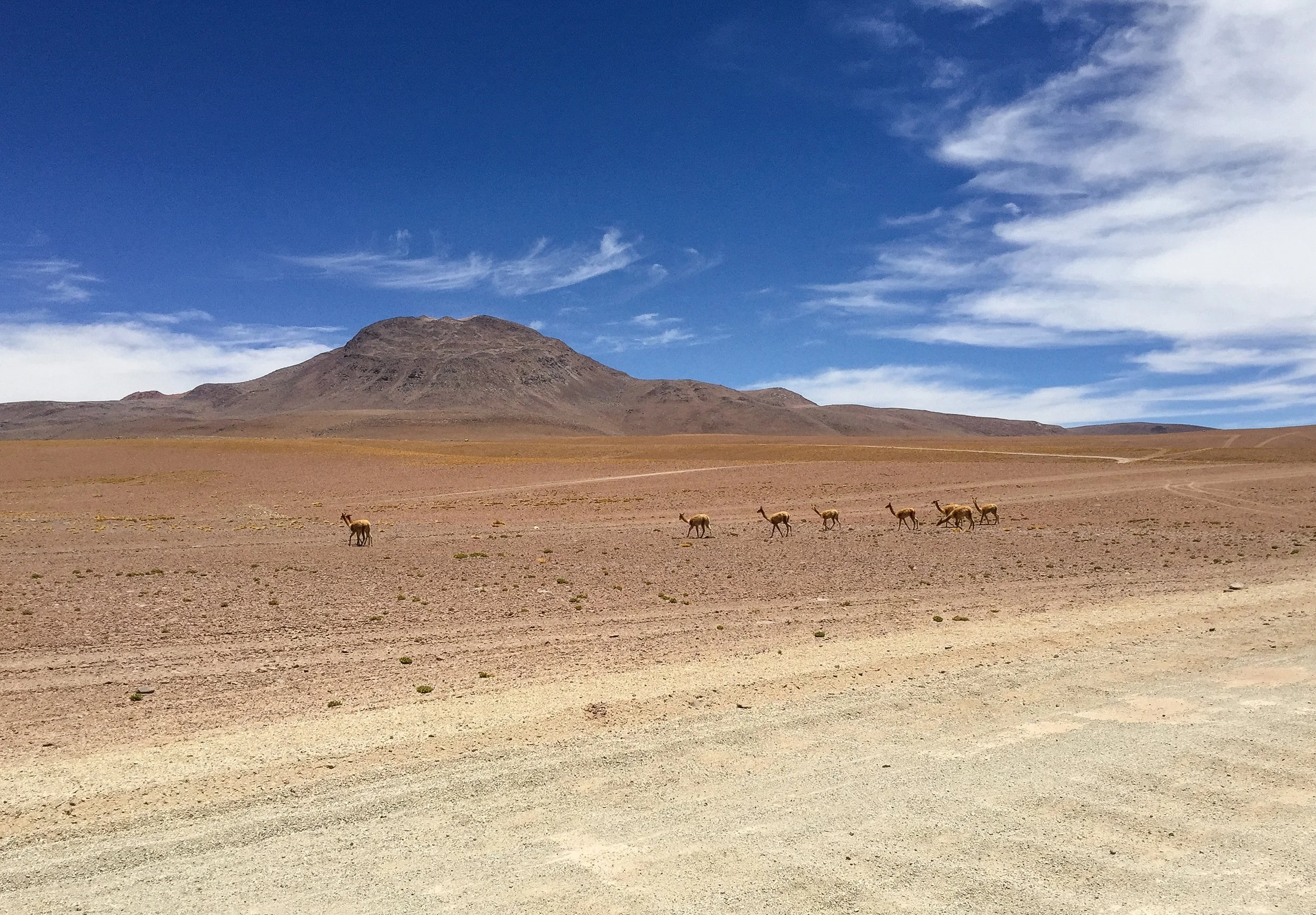JHS_Bolivia-108.jpg