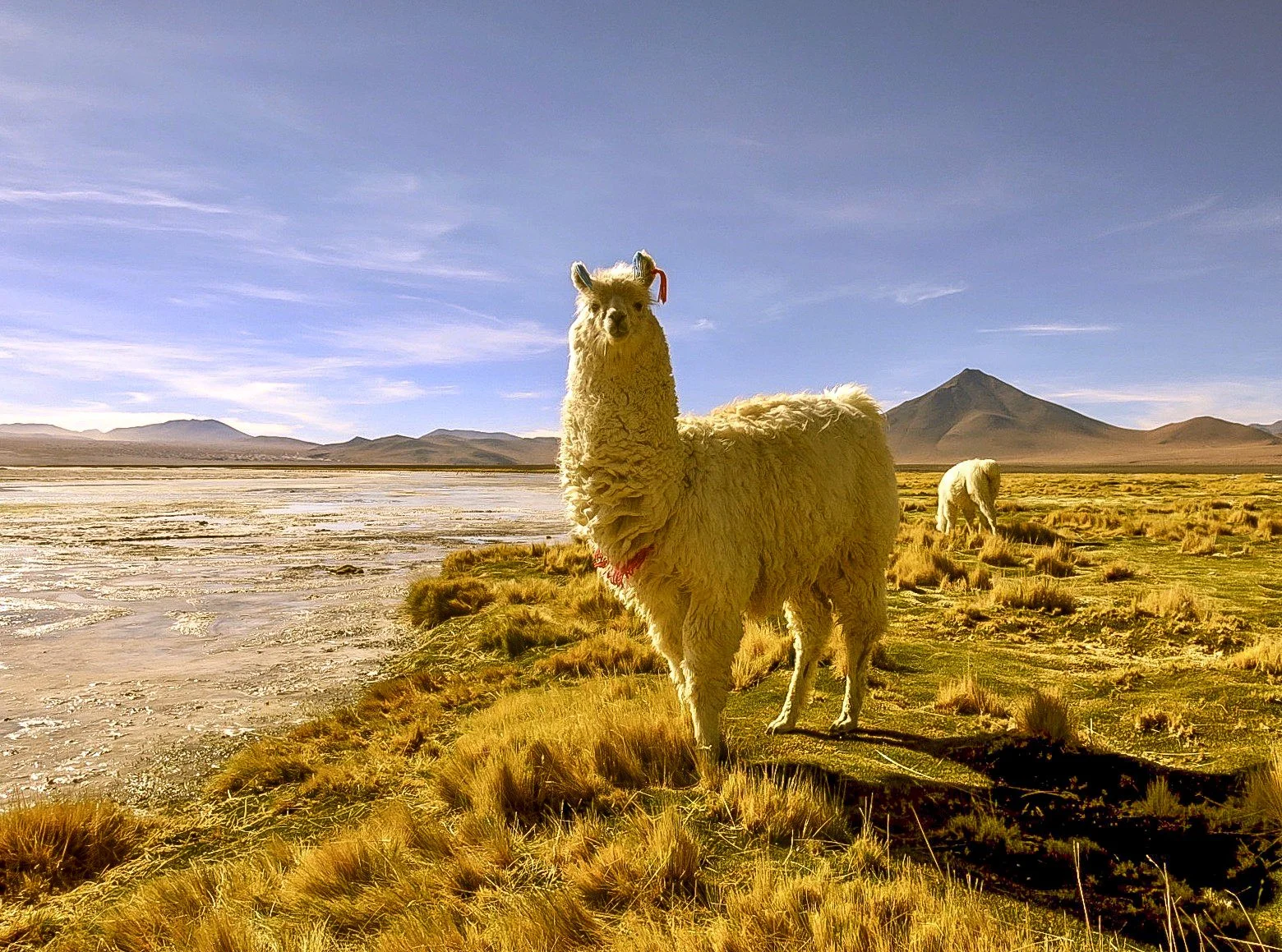 JHS_Bolivia-102.jpg