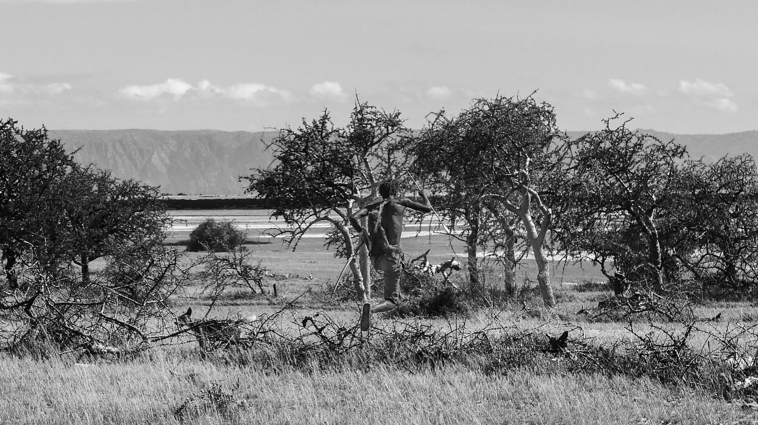 L1011227.jpg