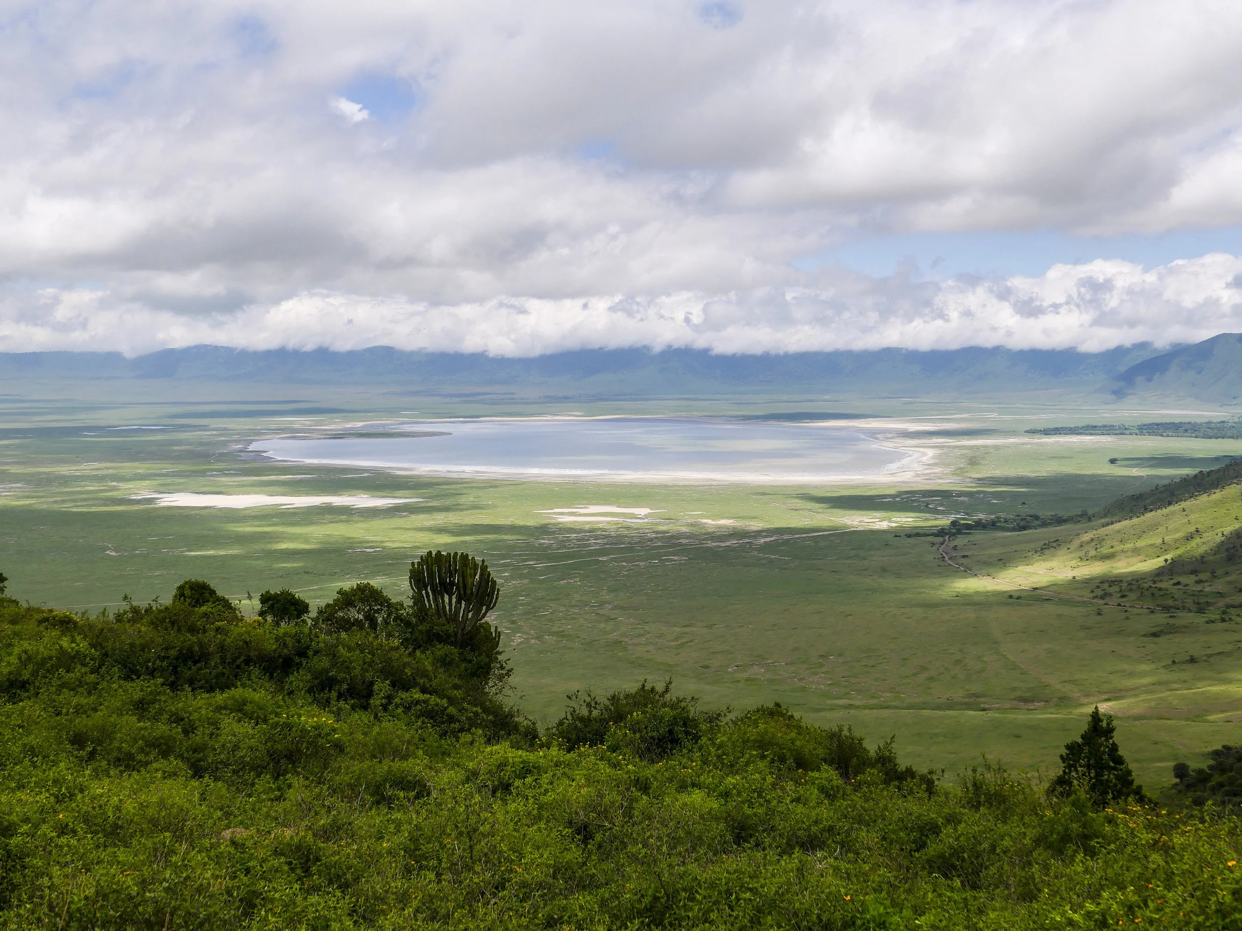 L1000814.jpg