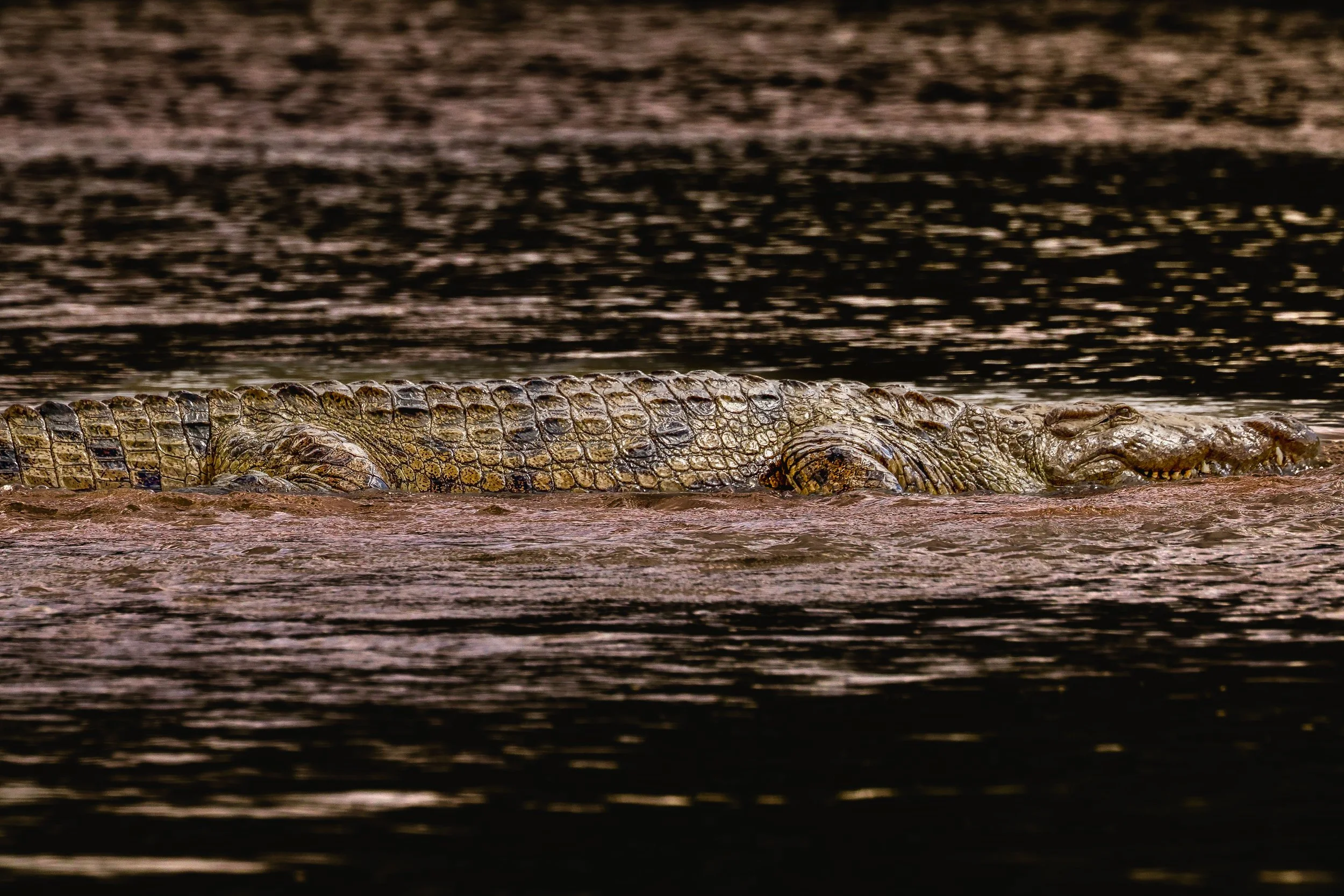 622A6987.jpg