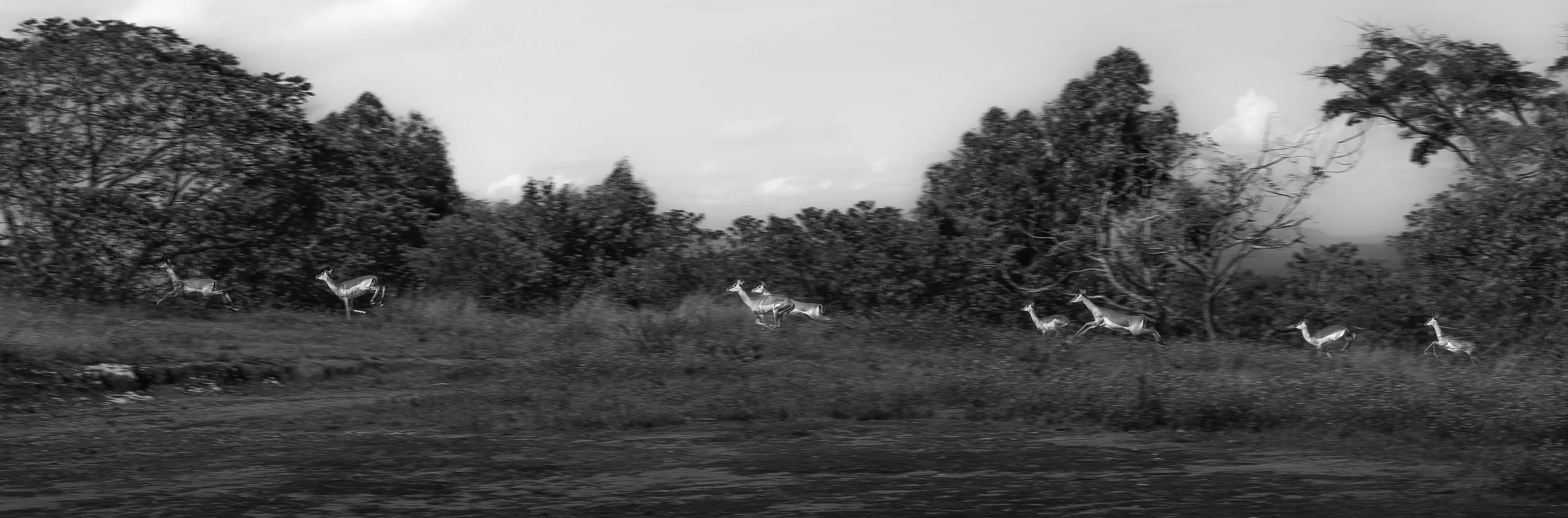 622A5626.jpg