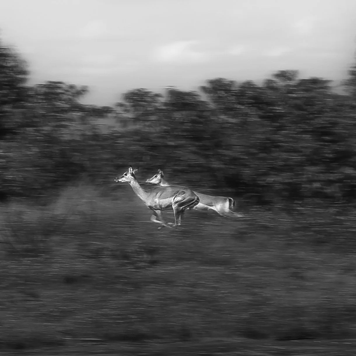 622A5626-Edit.jpg