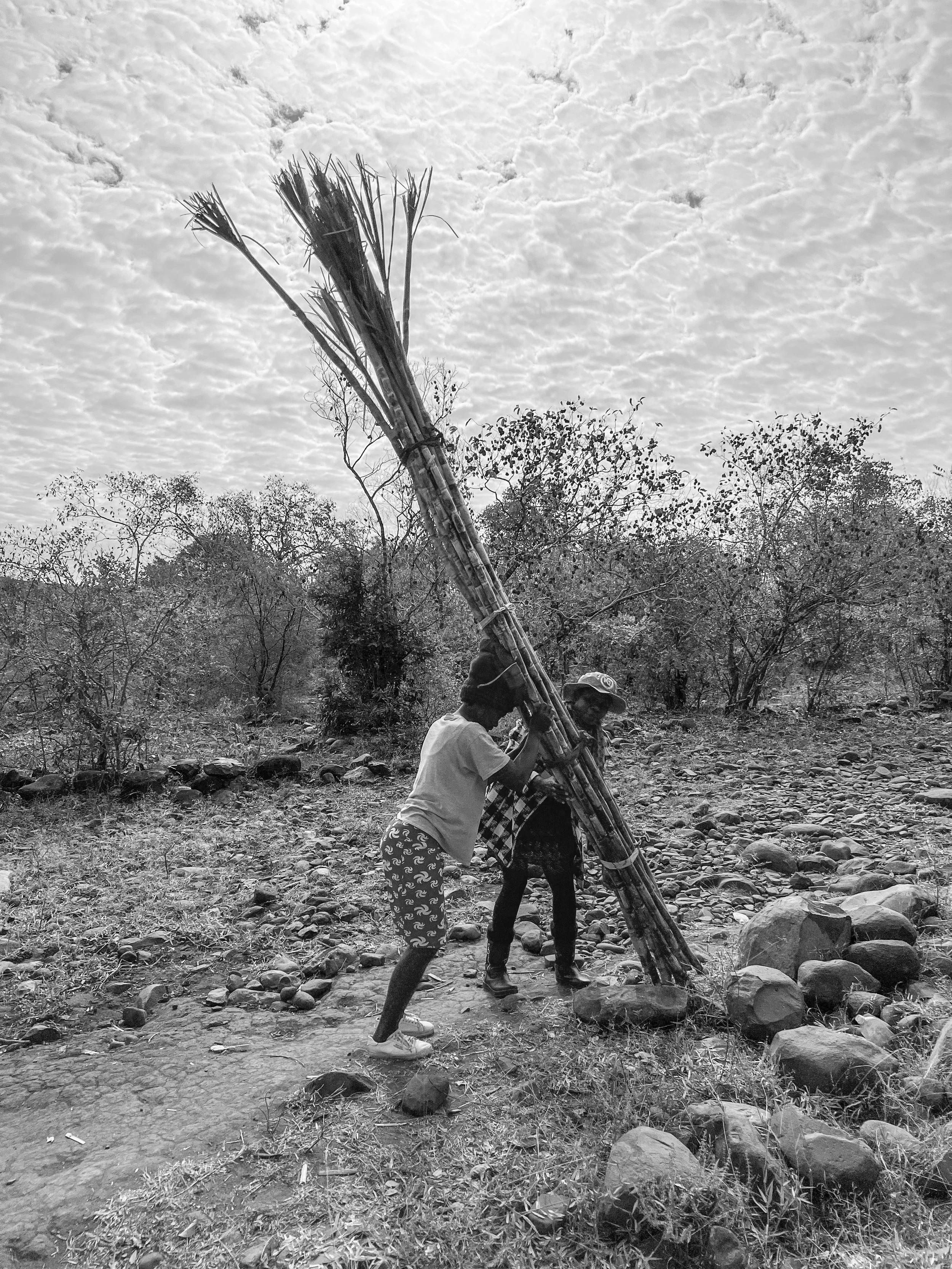 IMG_5611.jpg