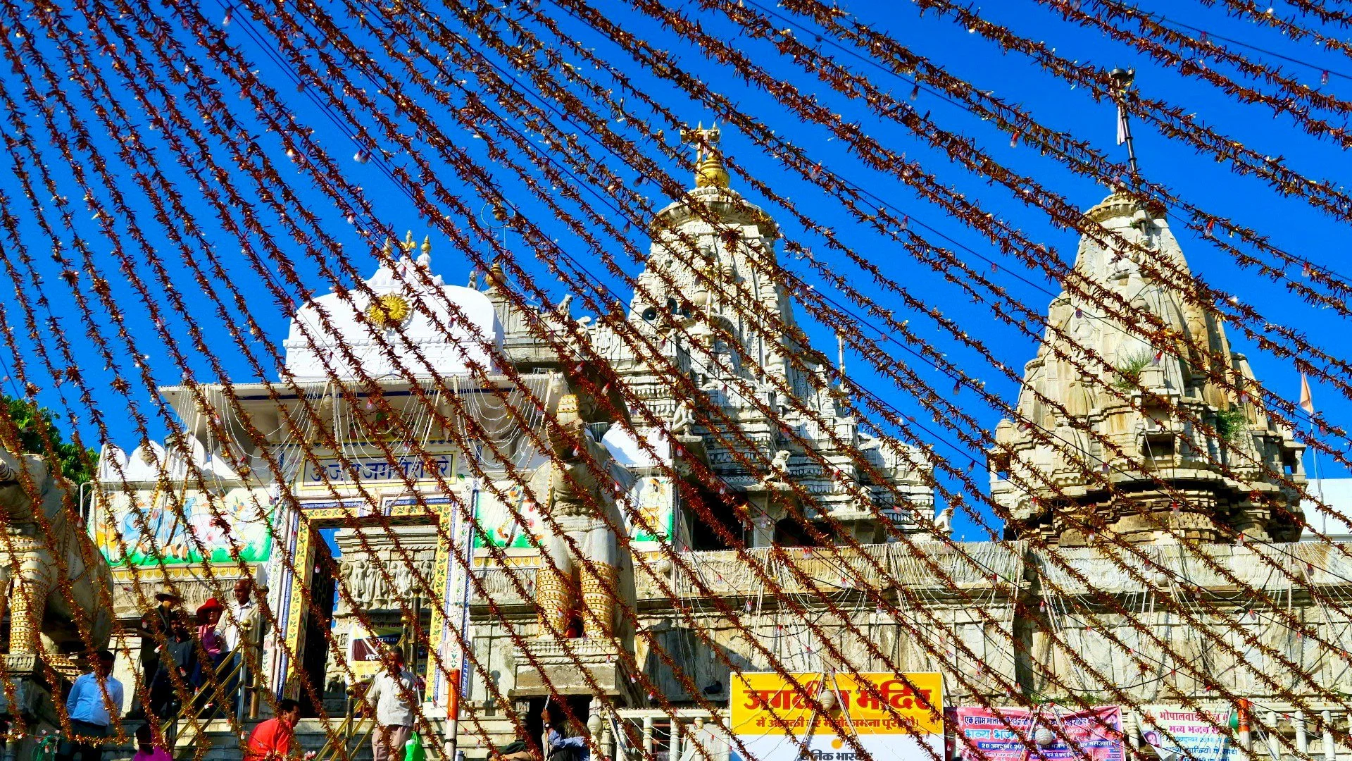 IMG_5765.jpg