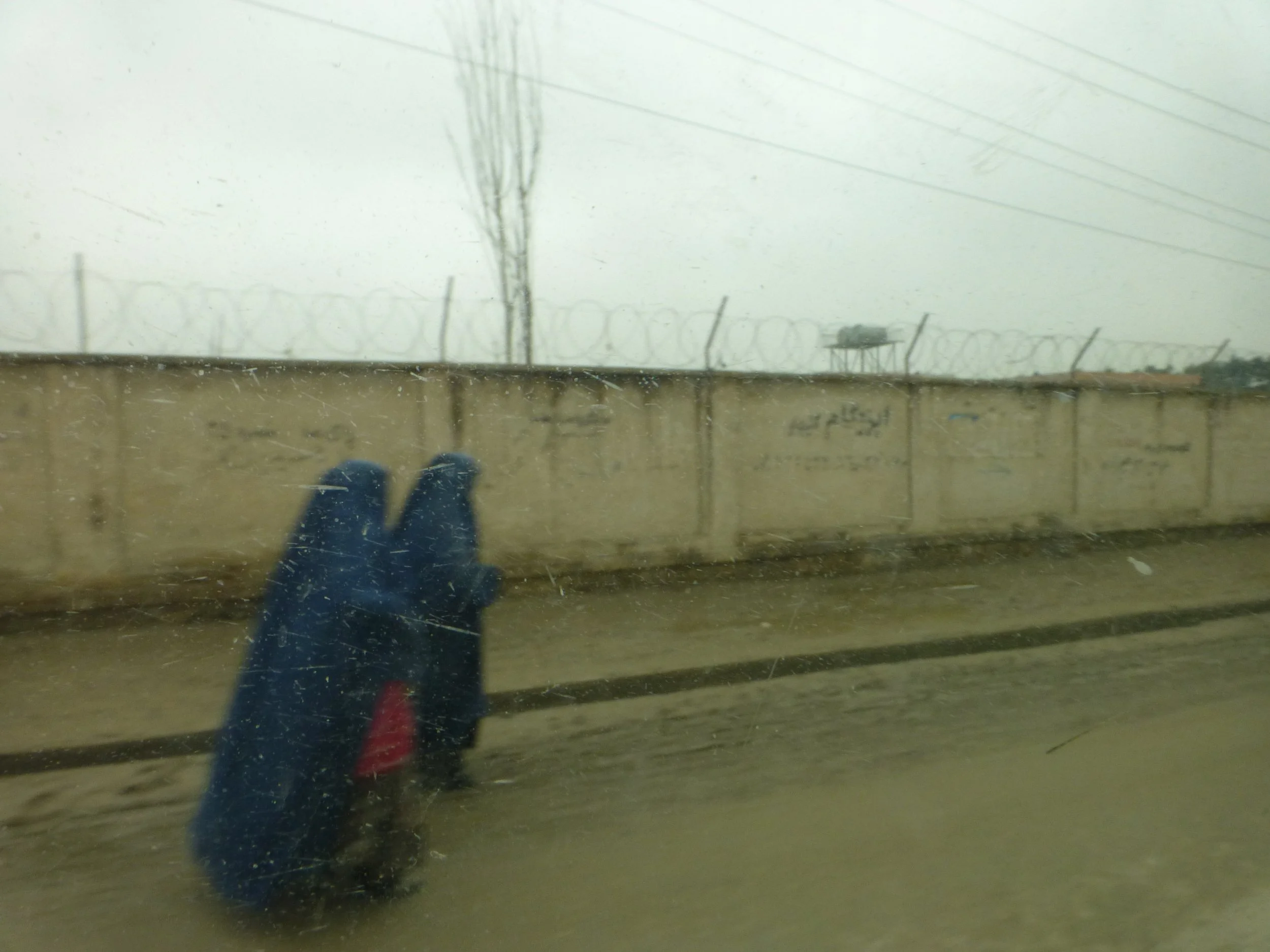 P1020976.jpg