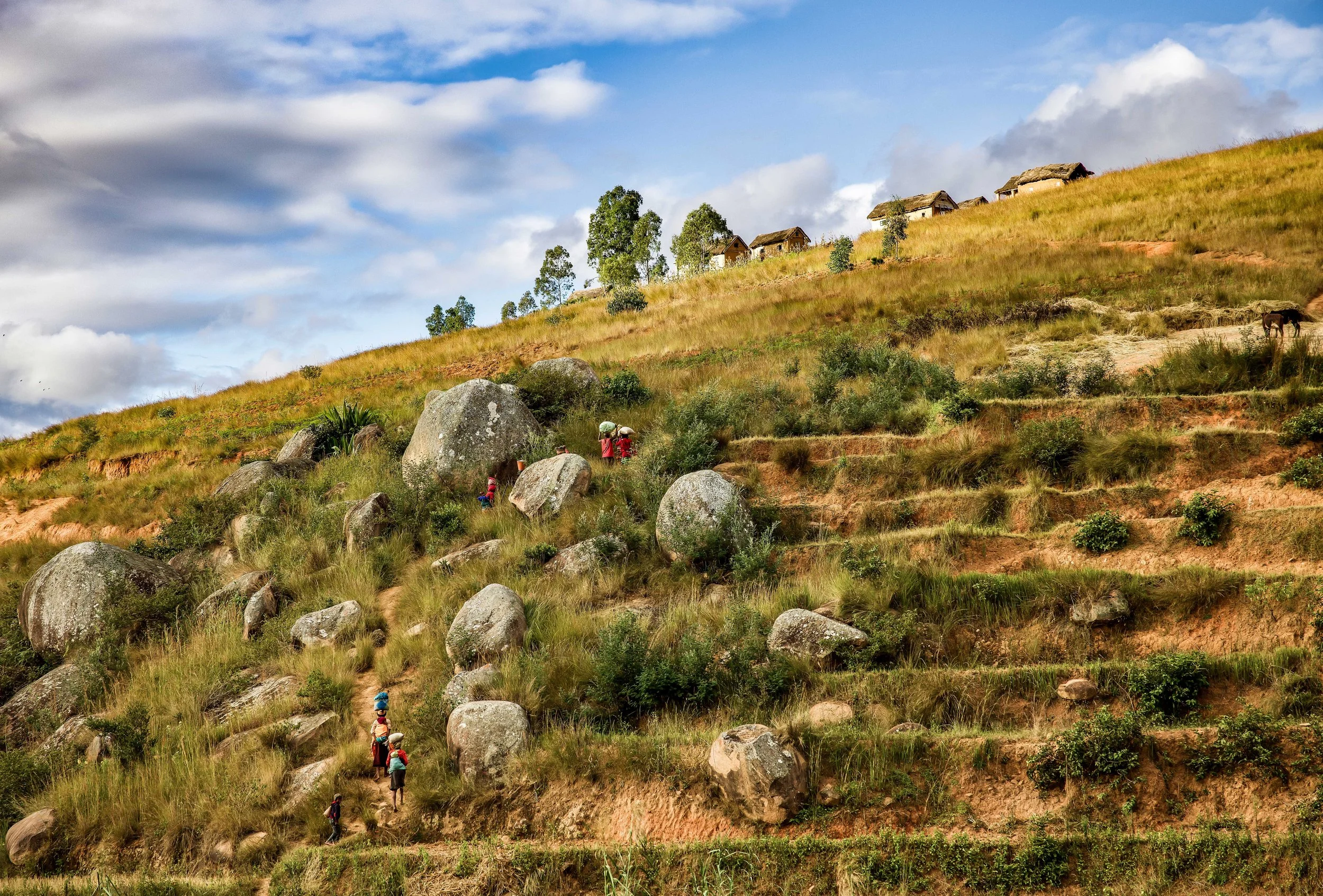 02-07-2023_madagascar-edits-50.jpg