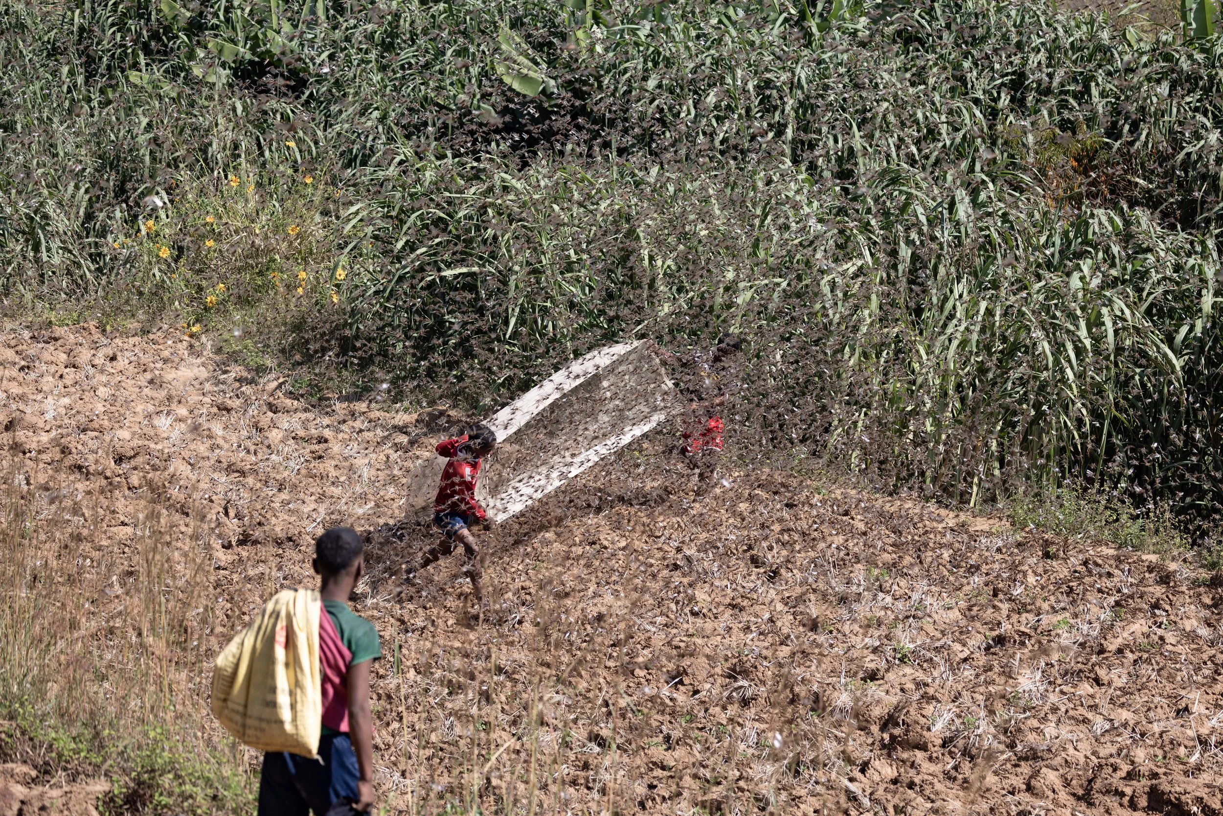 05-2023_Madagascar-22.jpg