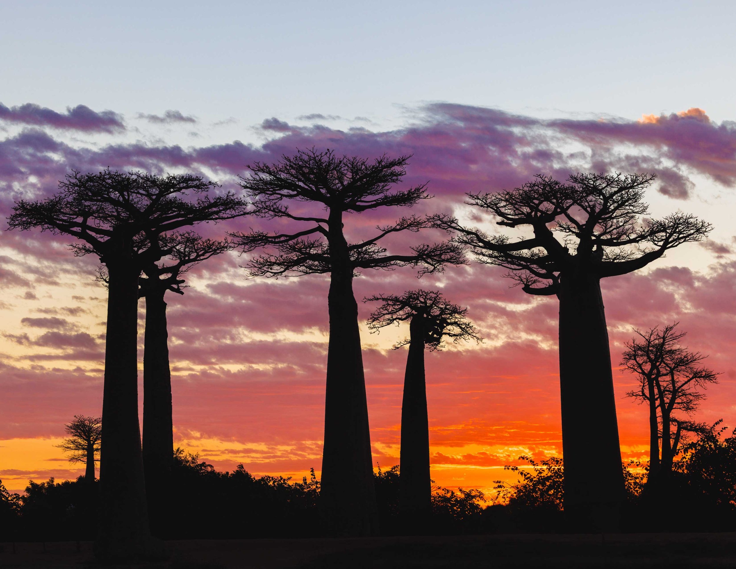 Madagascar--James-Small-(4).jpg