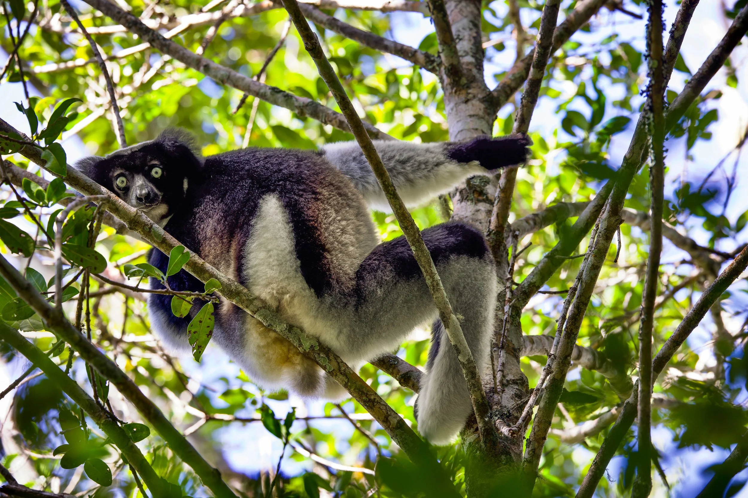 03-16-2023_madagascar-edits-7.jpg