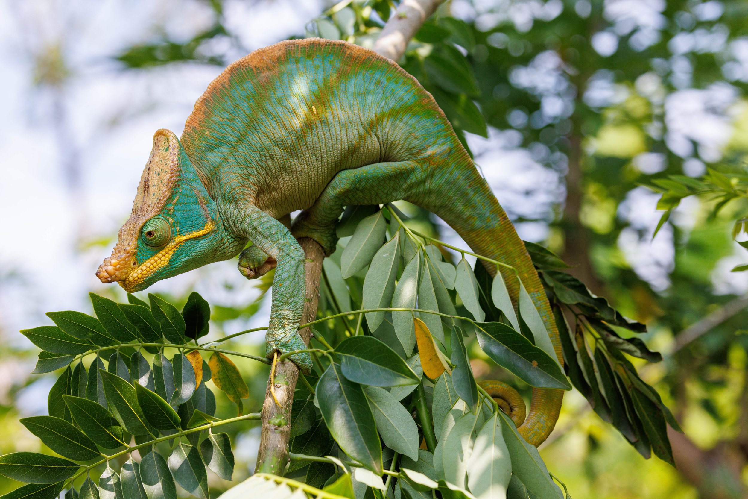 02.23.2025_JHS Madagascar-1-18.jpg