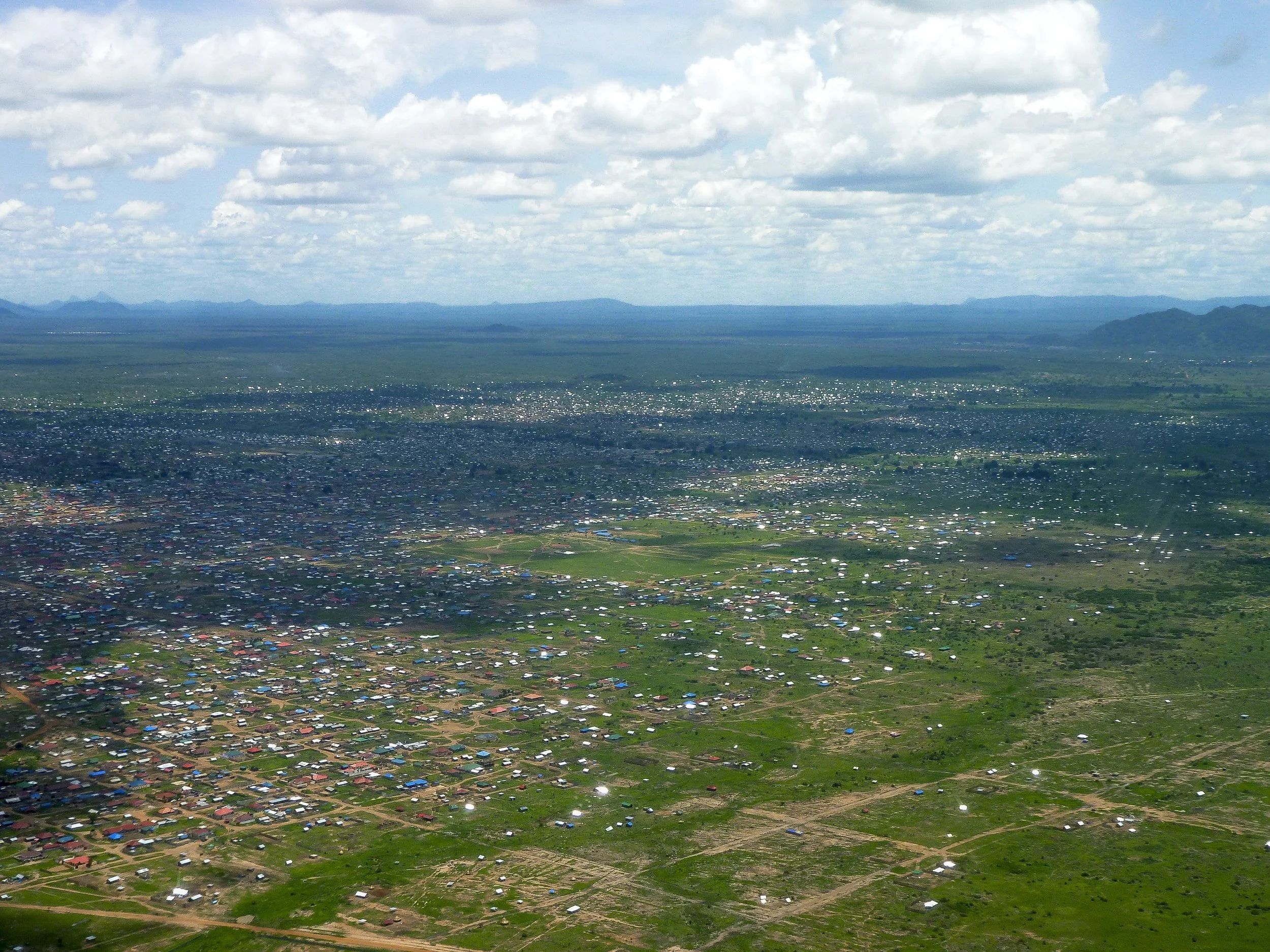 P1000929.jpg