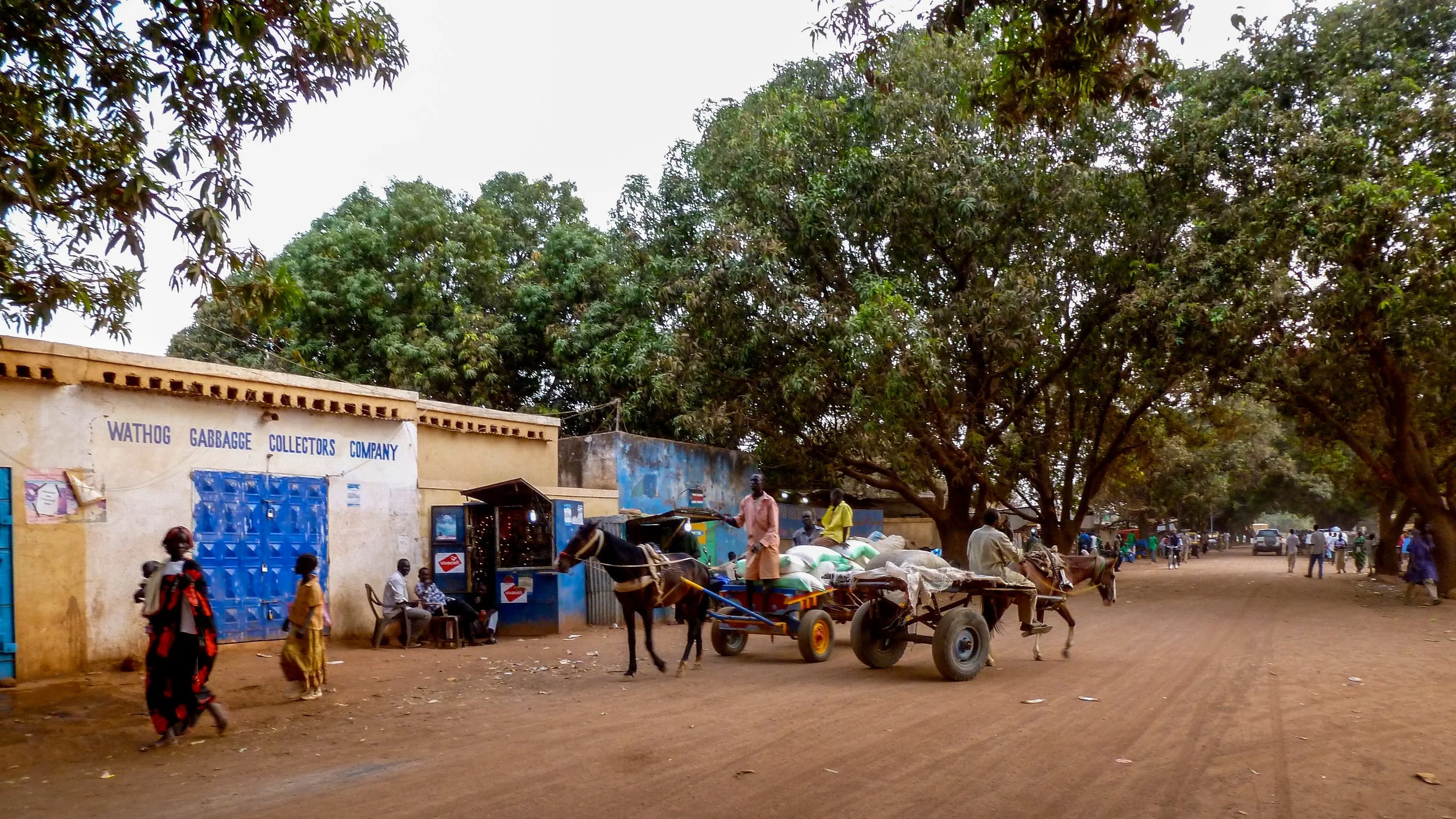 P1000264.jpg