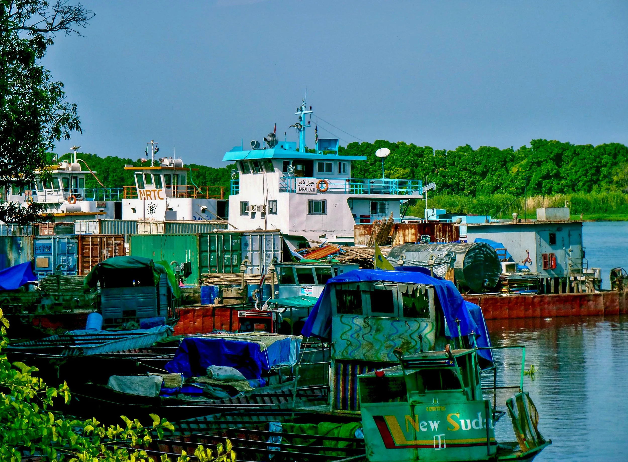 P1000010.jpg