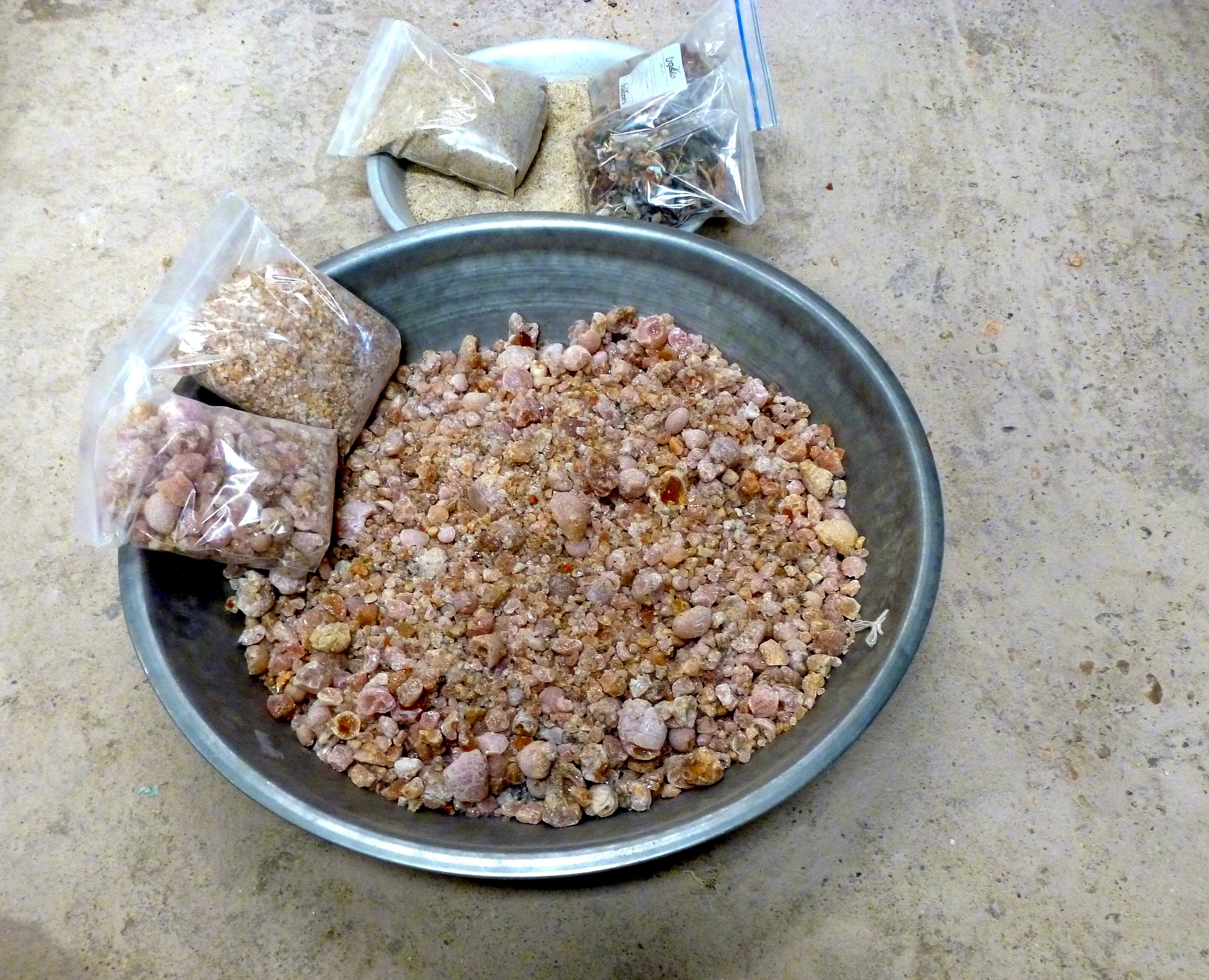P1000505.jpg