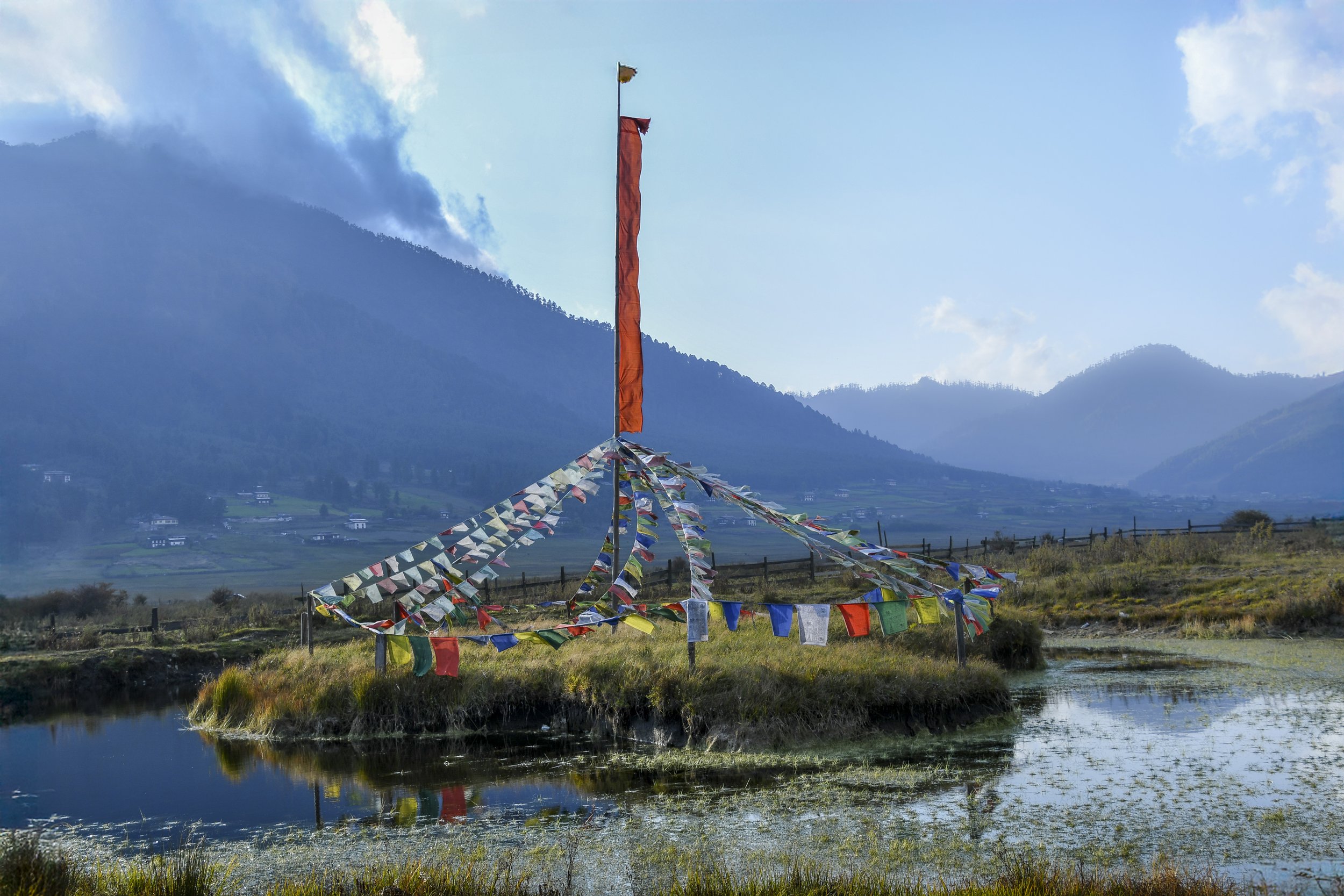 DSC_1774-Edit.jpg