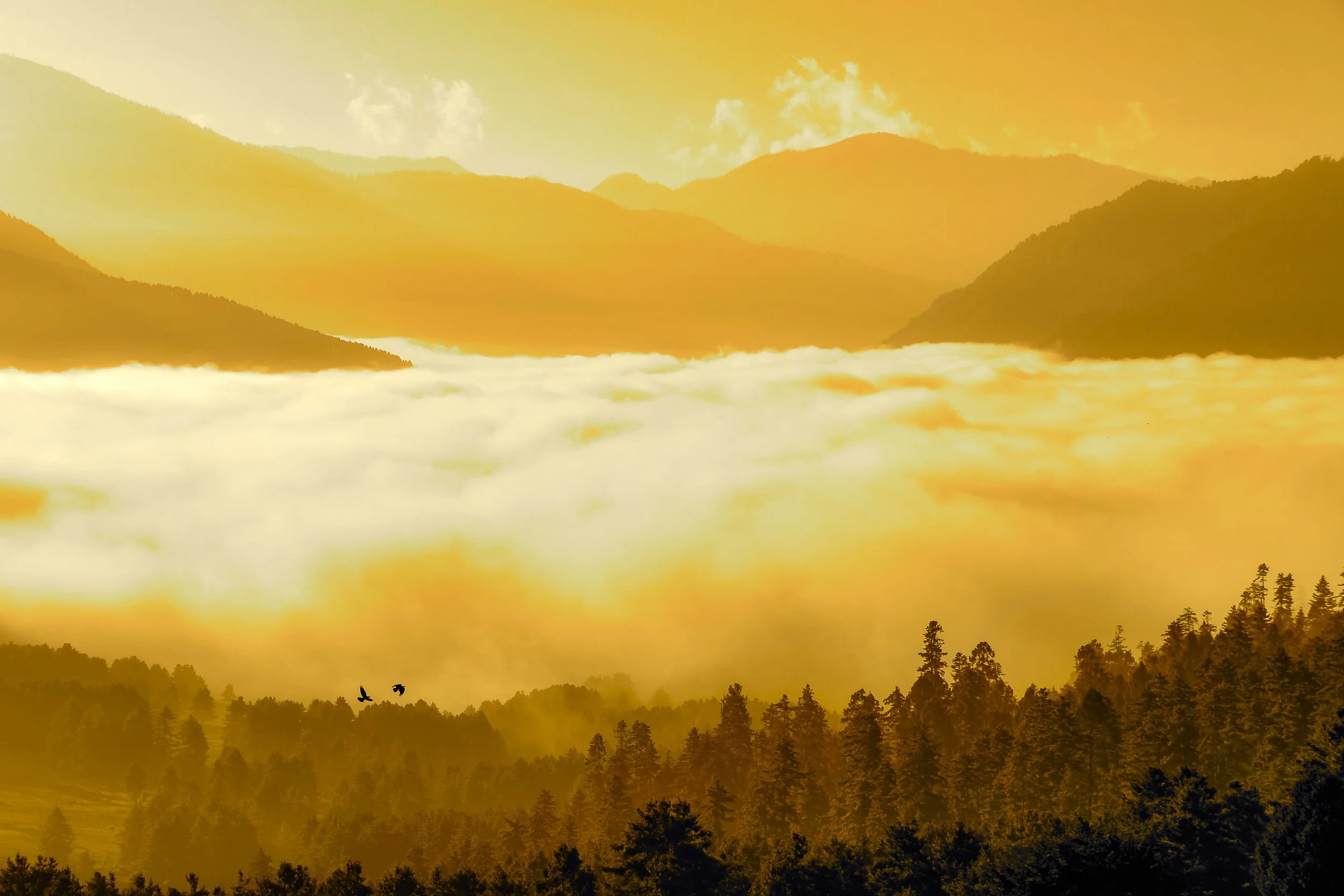 JHS_Bhutan-4.jpg