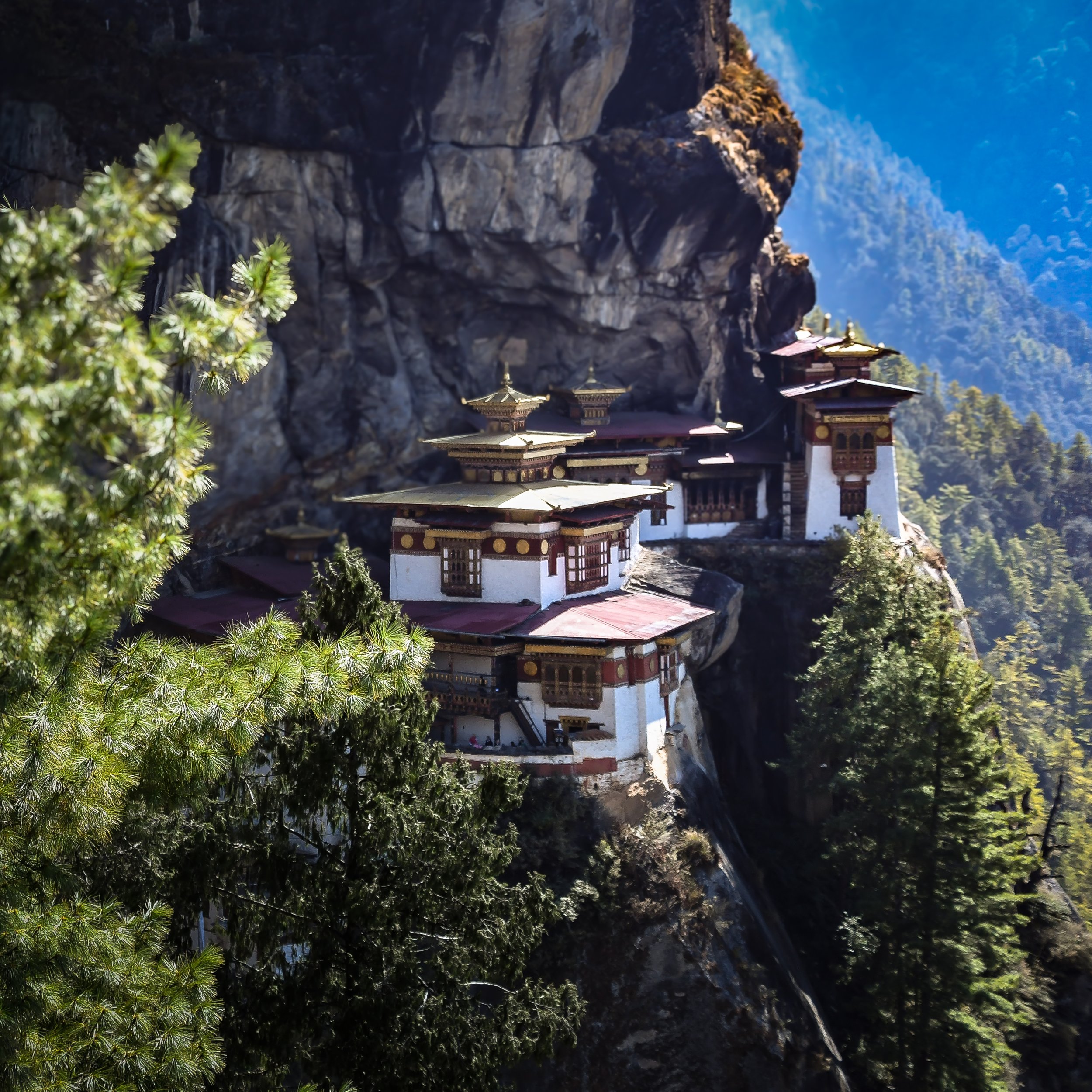 JHS_Bhutan-28.jpg