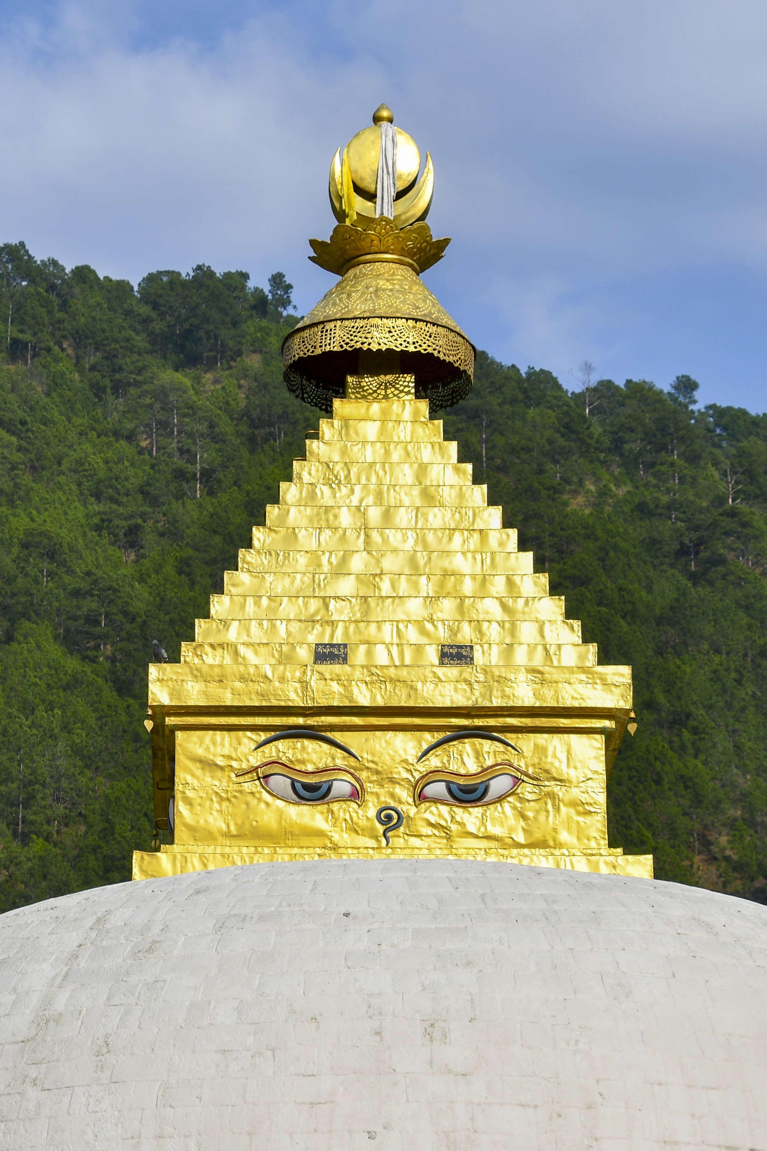 JHS_Bhutan-45.jpg