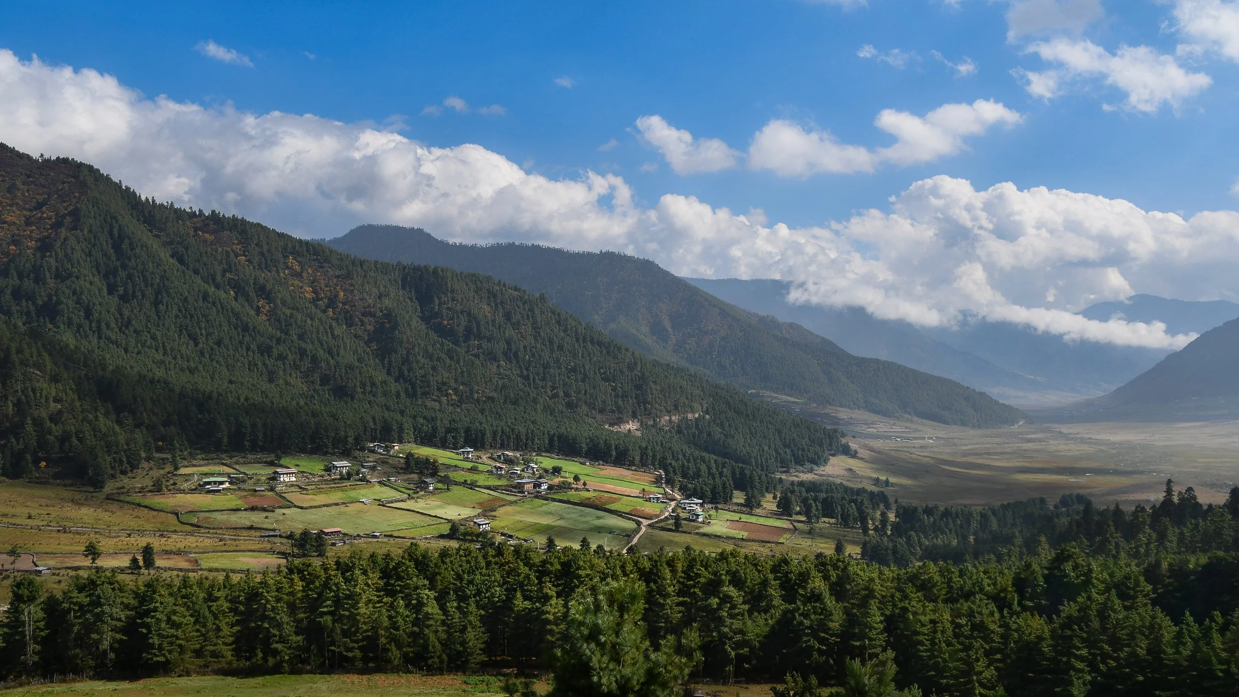 DSC_1646.jpg