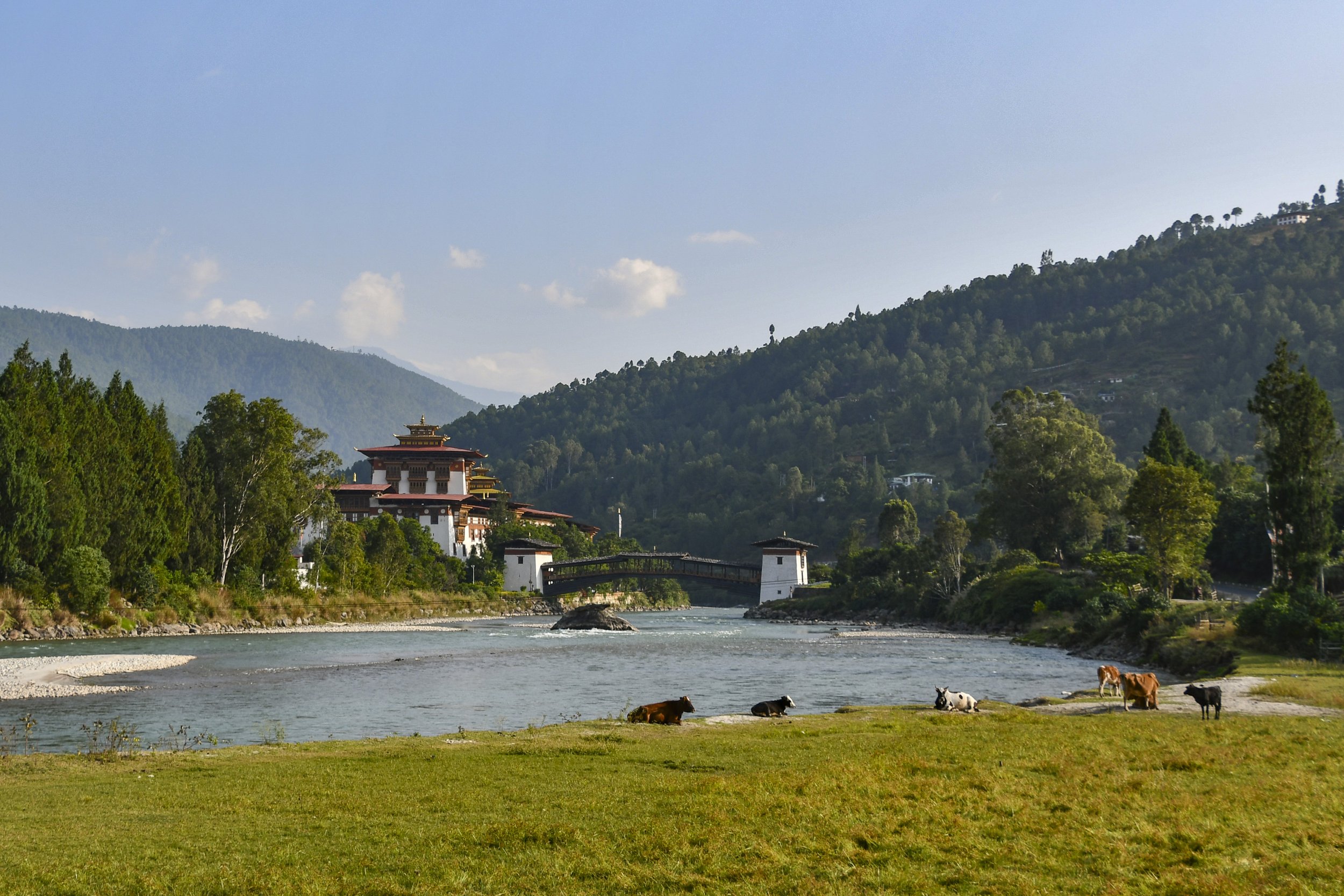 JHS_Bhutan-46.jpg