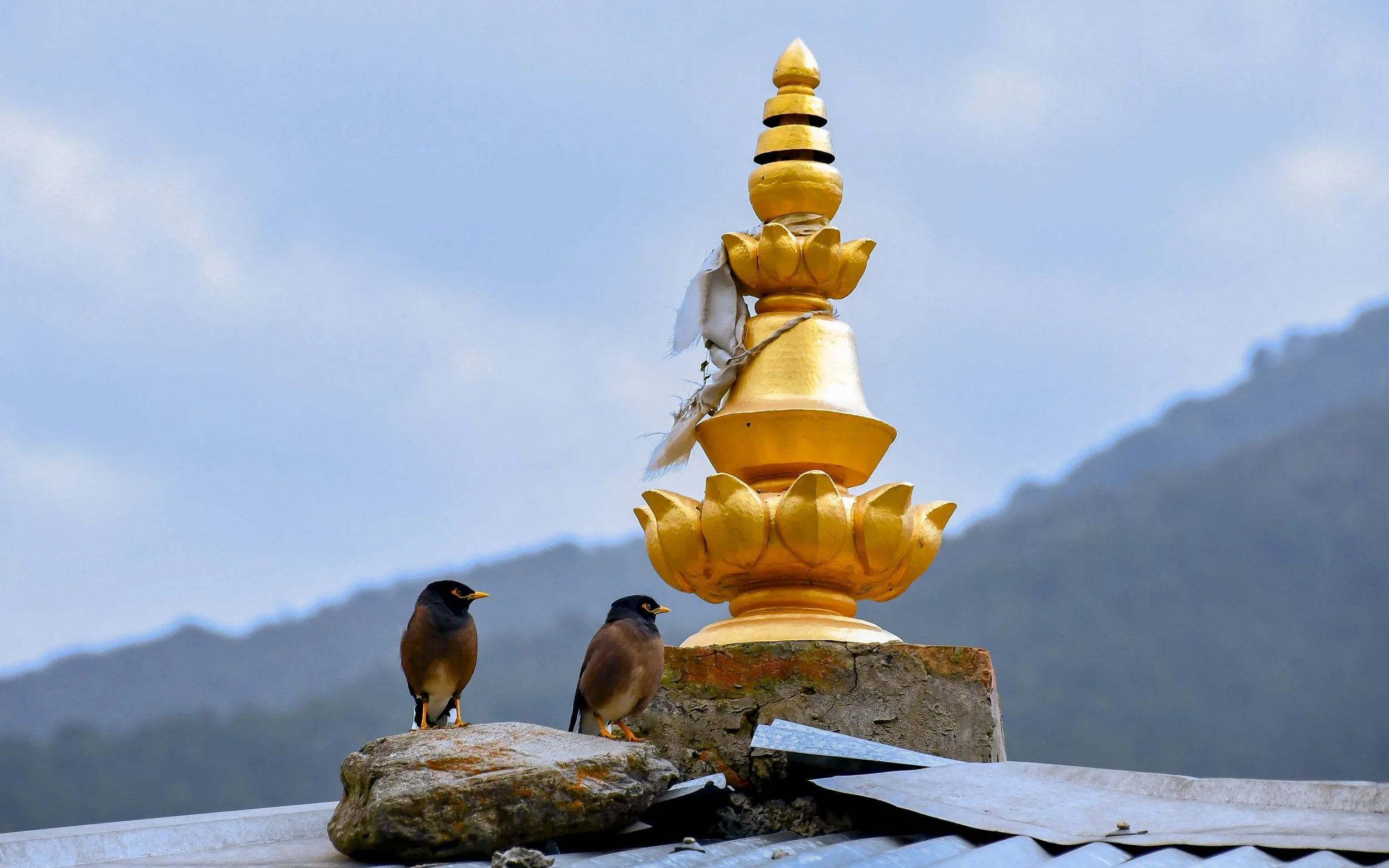 JHS_Bhutan-58.jpg
