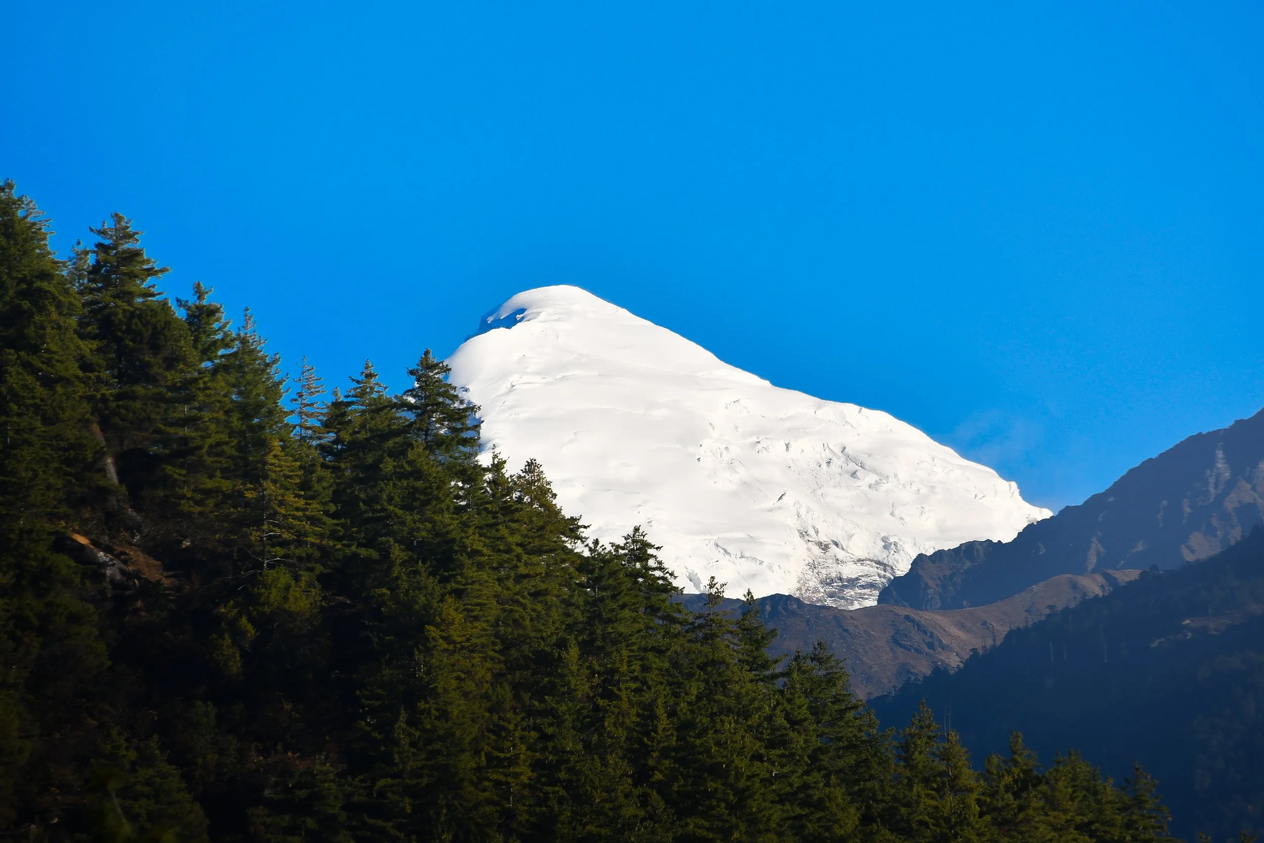 DSC_2956.jpg