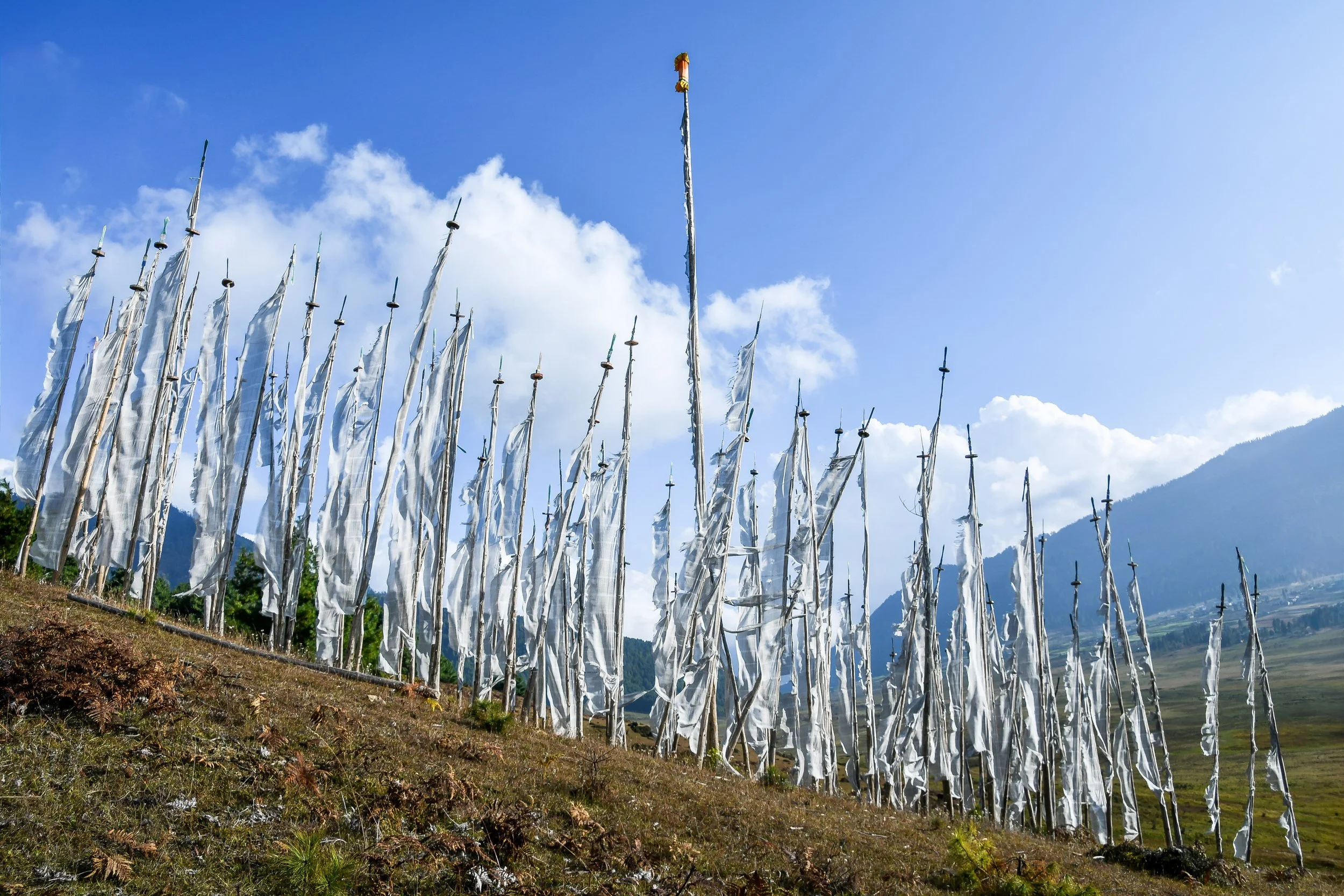 JHS_Bhutan-65.jpg