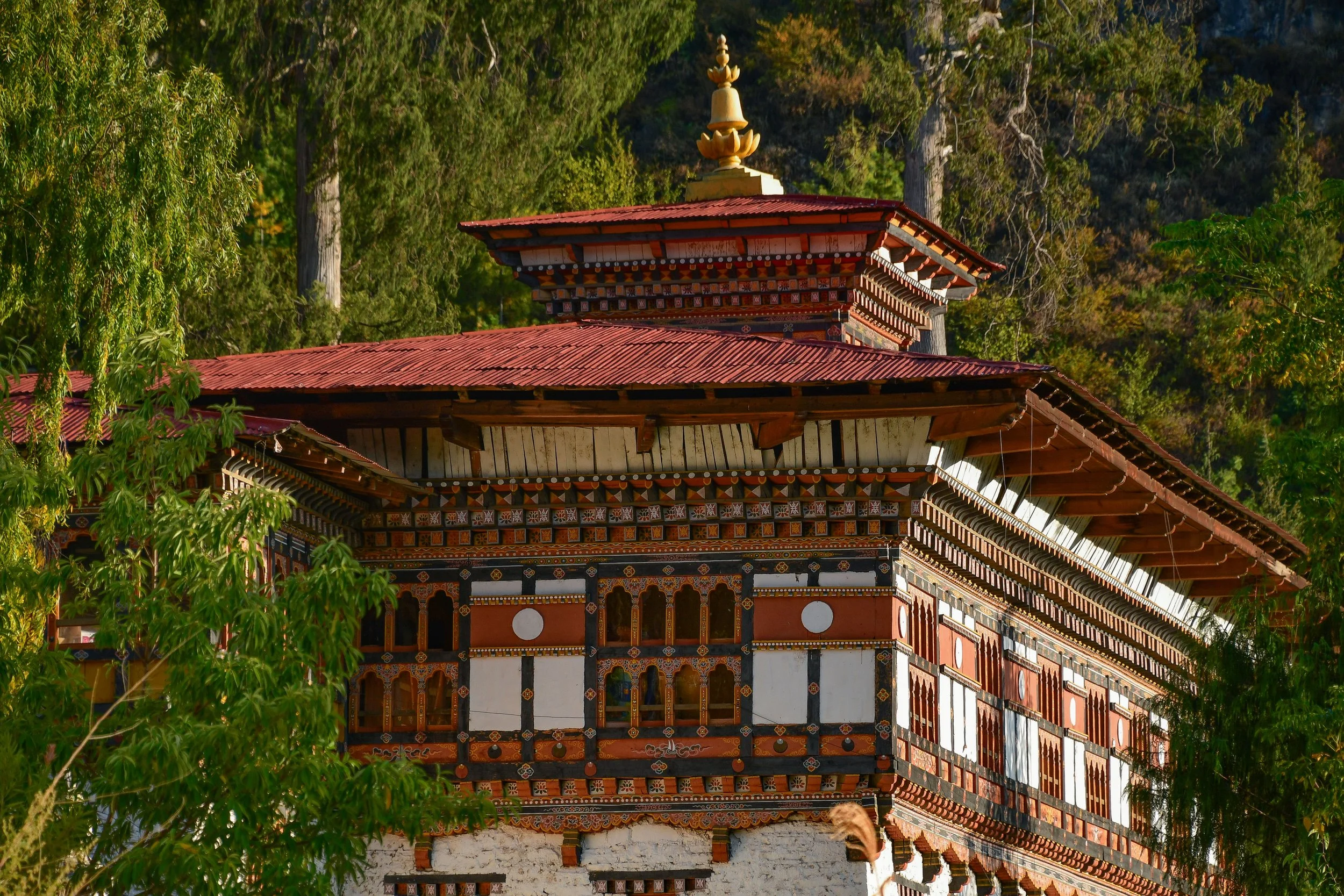 JHS_Bhutan-89.jpg