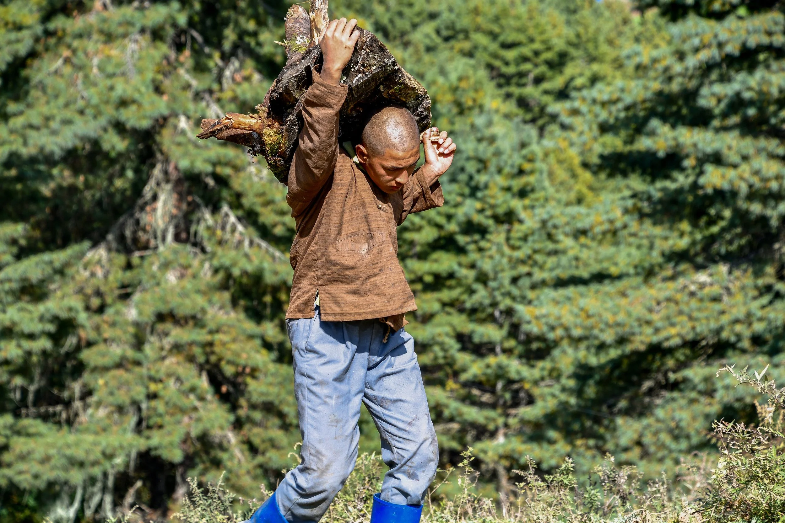 JHS_Bhutan-78.jpg