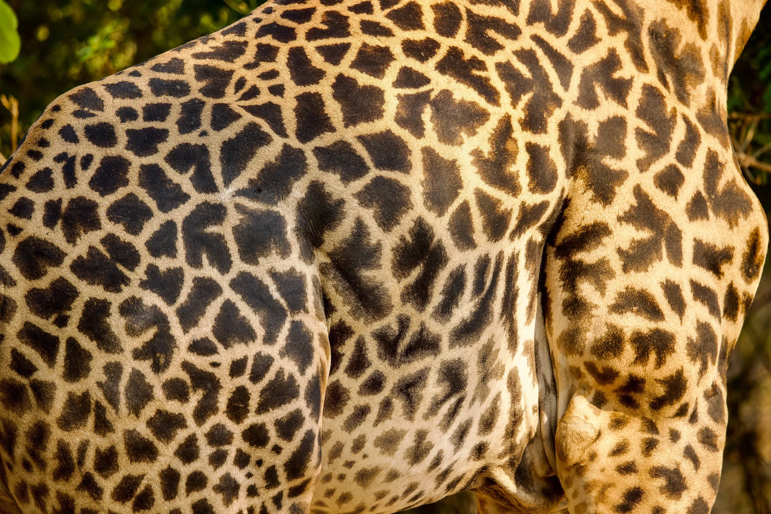 622A8130 2.jpg