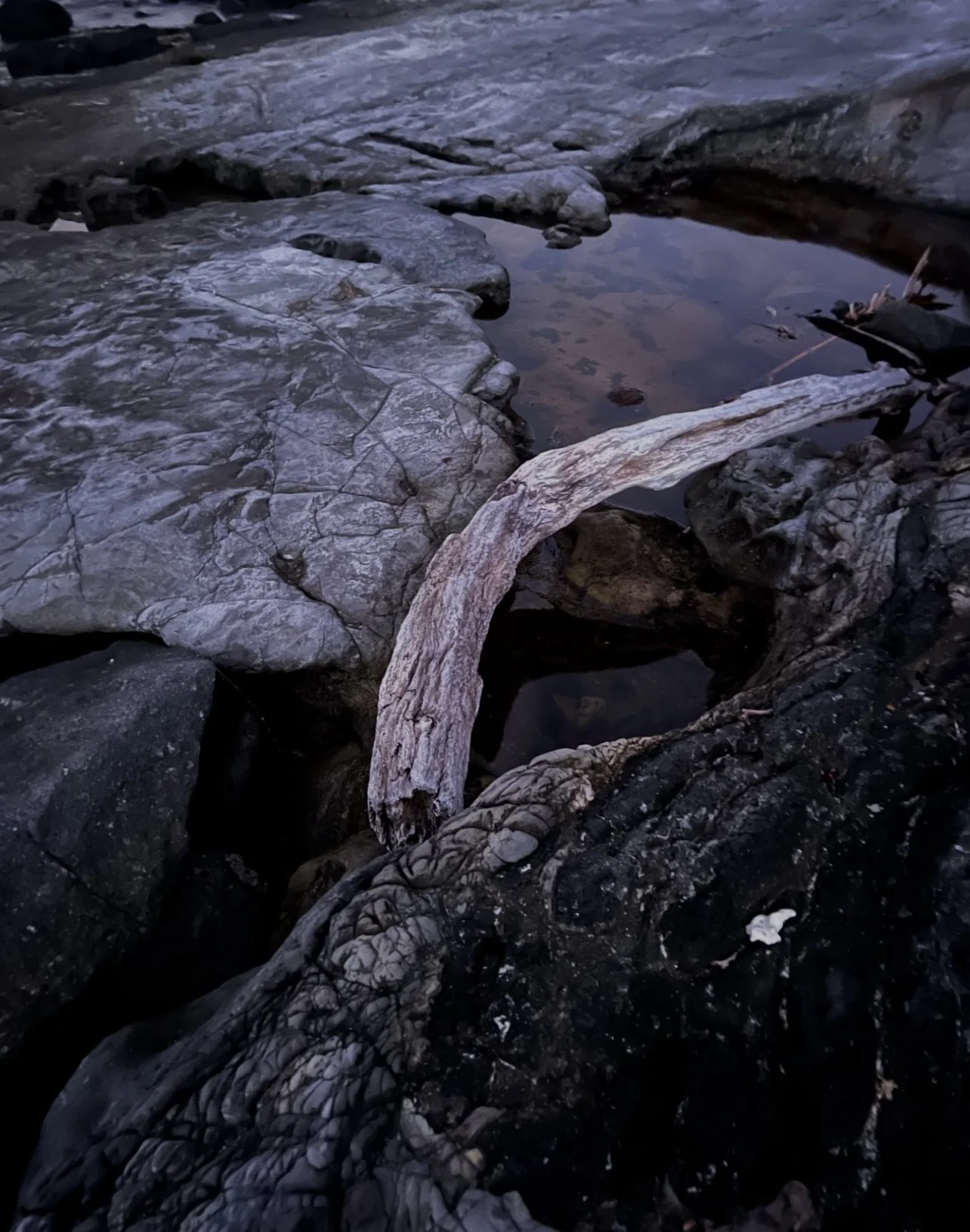 A rocky shoreline with water and a piece of driftwood.