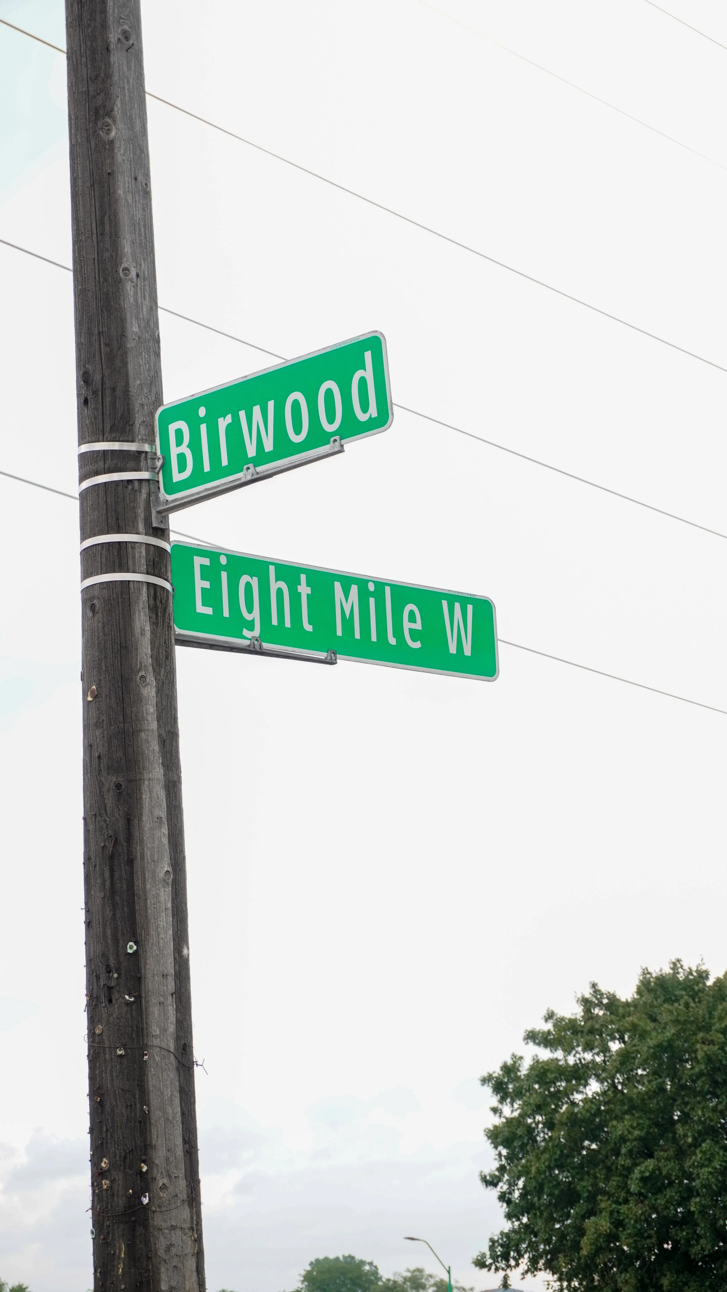 Street signs at an intersection showing 'Birwood' and 'Eight Mile W' on a utility pole.