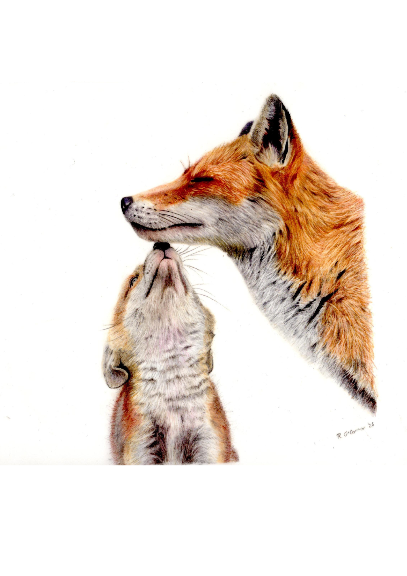 Mama & Baby Fox Fine Art Print